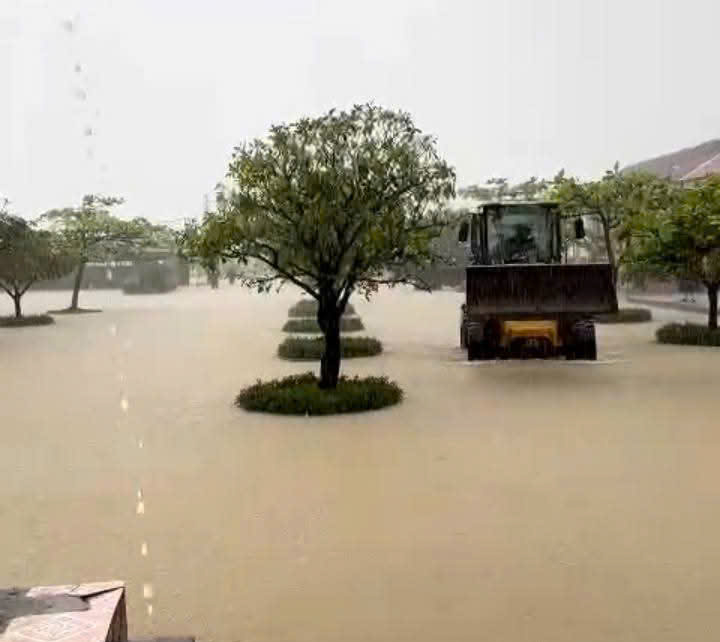 Mưa lớn ở Hà Tĩnh khiến hàng trăm hộ dân phải sơ tán khẩn cấp - Ảnh 10. Mưa lớn ở Hà Tĩnh khiến hàng trăm hộ dân phải sơ tán khẩn cấp - Ảnh 10.