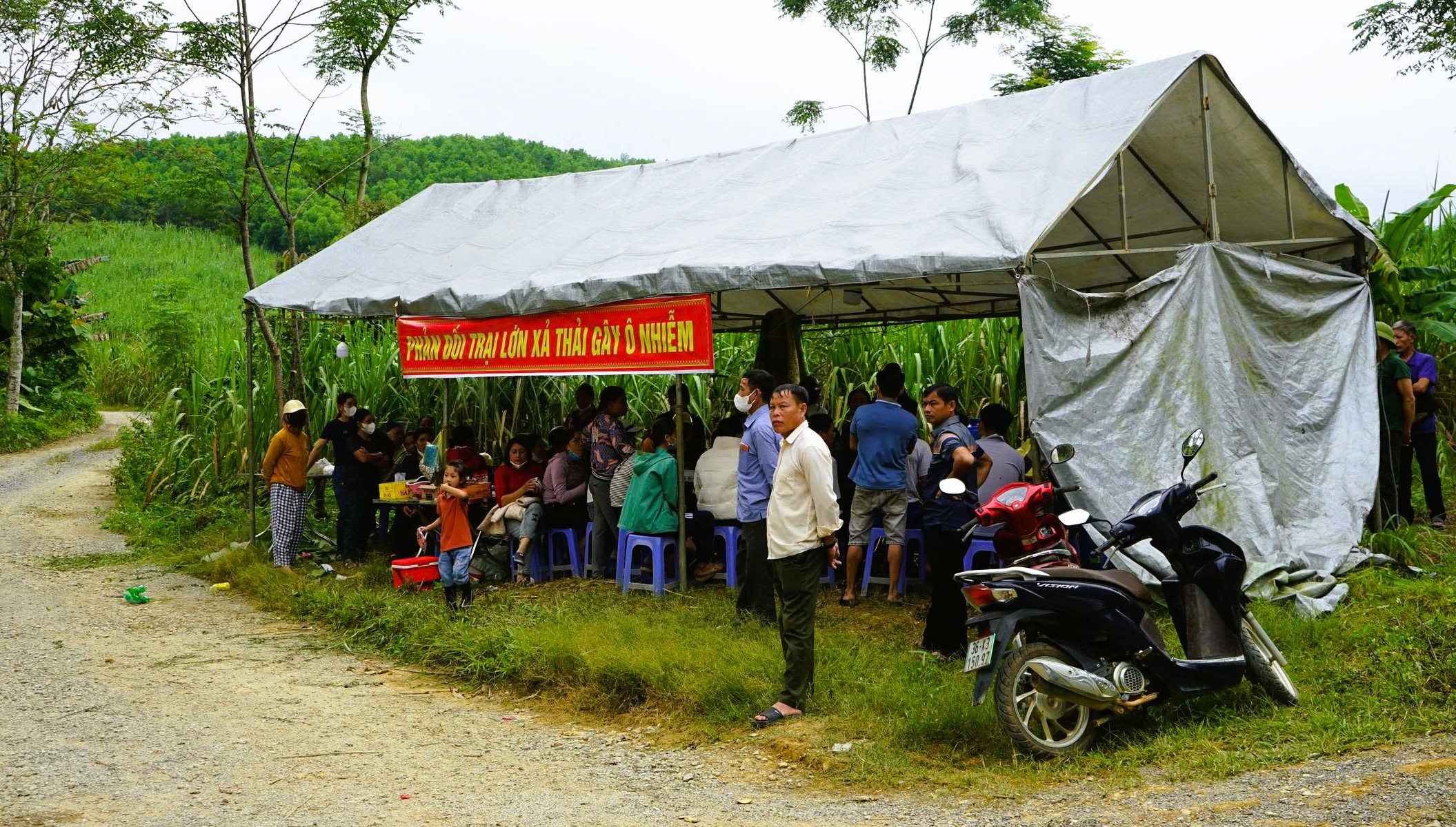 Dừng hoạt động trại heo công nghệ cao gây mùi hôi thối - Ảnh 2.