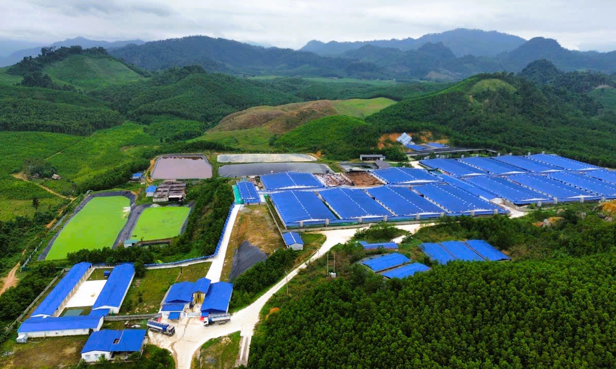 Dừng hoạt động trại heo công nghệ cao gây mùi hôi thối - Ảnh 1.