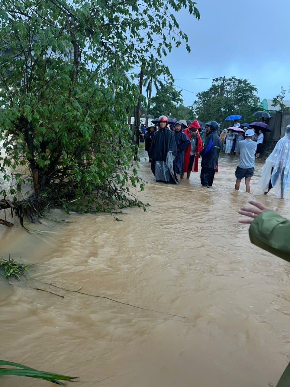 Hàng chục người đang tìm kiếm bé gái 11 tuổi mất tích do lũ cuốn ở Quảng Trị - Ảnh 5. Hàng chục người đang tìm kiếm bé gái 11 tuổi mất tích do lũ cuốn ở Quảng Trị - Ảnh 5.