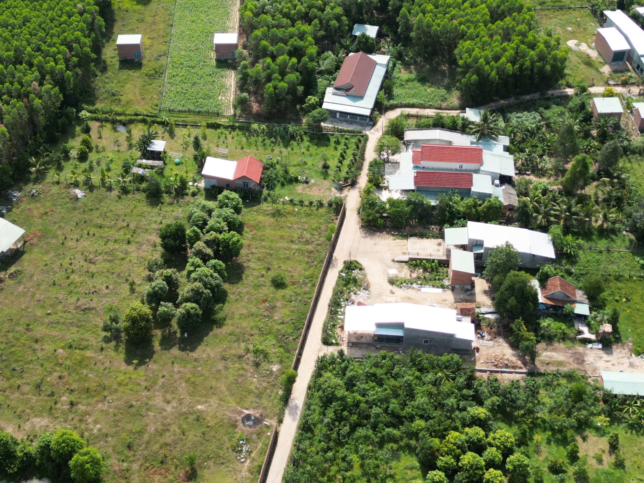 Chuyển cơ quan Cảnh sát điều tra vụ “hô biến” đất công 50 tỉ thành đất “ông” ở Gia Lai - Ảnh 3. Chuyển cơ quan Cảnh sát điều tra vụ “hô biến” đất công 50 tỉ thành đất “ông” ở Gia Lai - Ảnh 3.