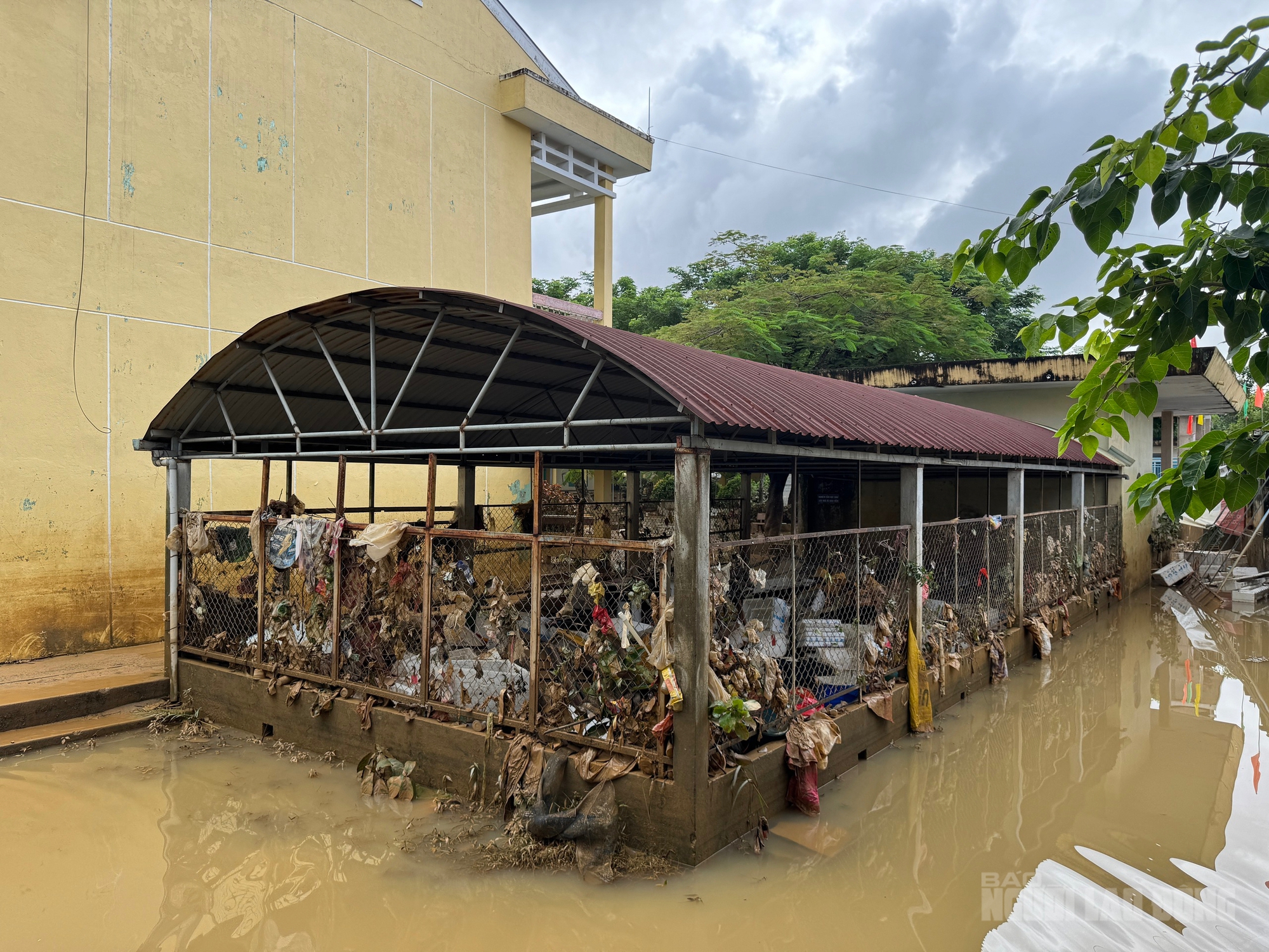 Hàng chục ô tô chết máy sau lũ lịch sử Đà Nẵng , thiệt hại nặng nề - Ảnh 10. Hàng chục ô tô chết máy sau lũ lịch sử Đà Nẵng , thiệt hại nặng nề - Ảnh 10.