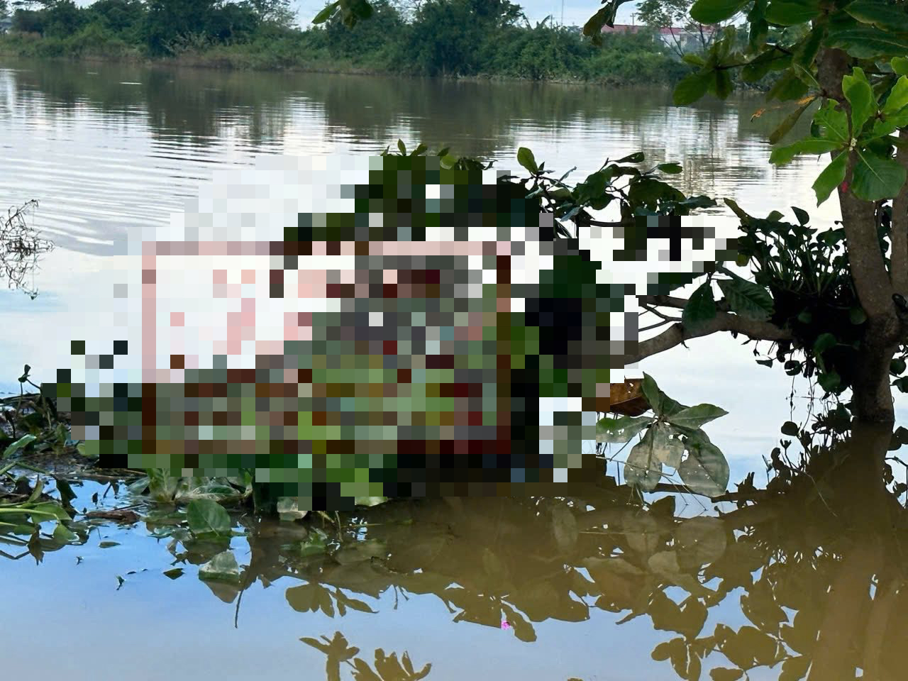 Phát hiện thi thể mắc trên cành cây giữa ruộng - Ảnh 1.