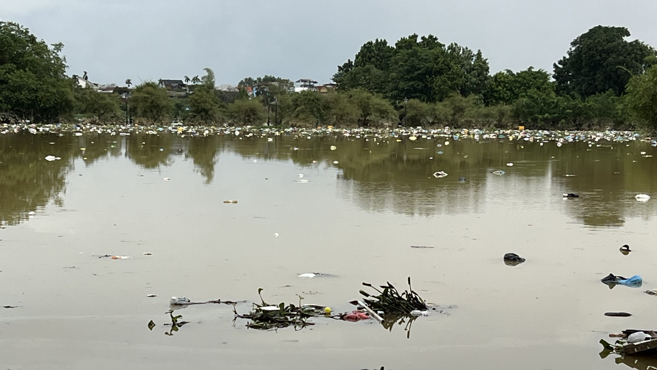 - Ảnh 16.  - Ảnh 16.