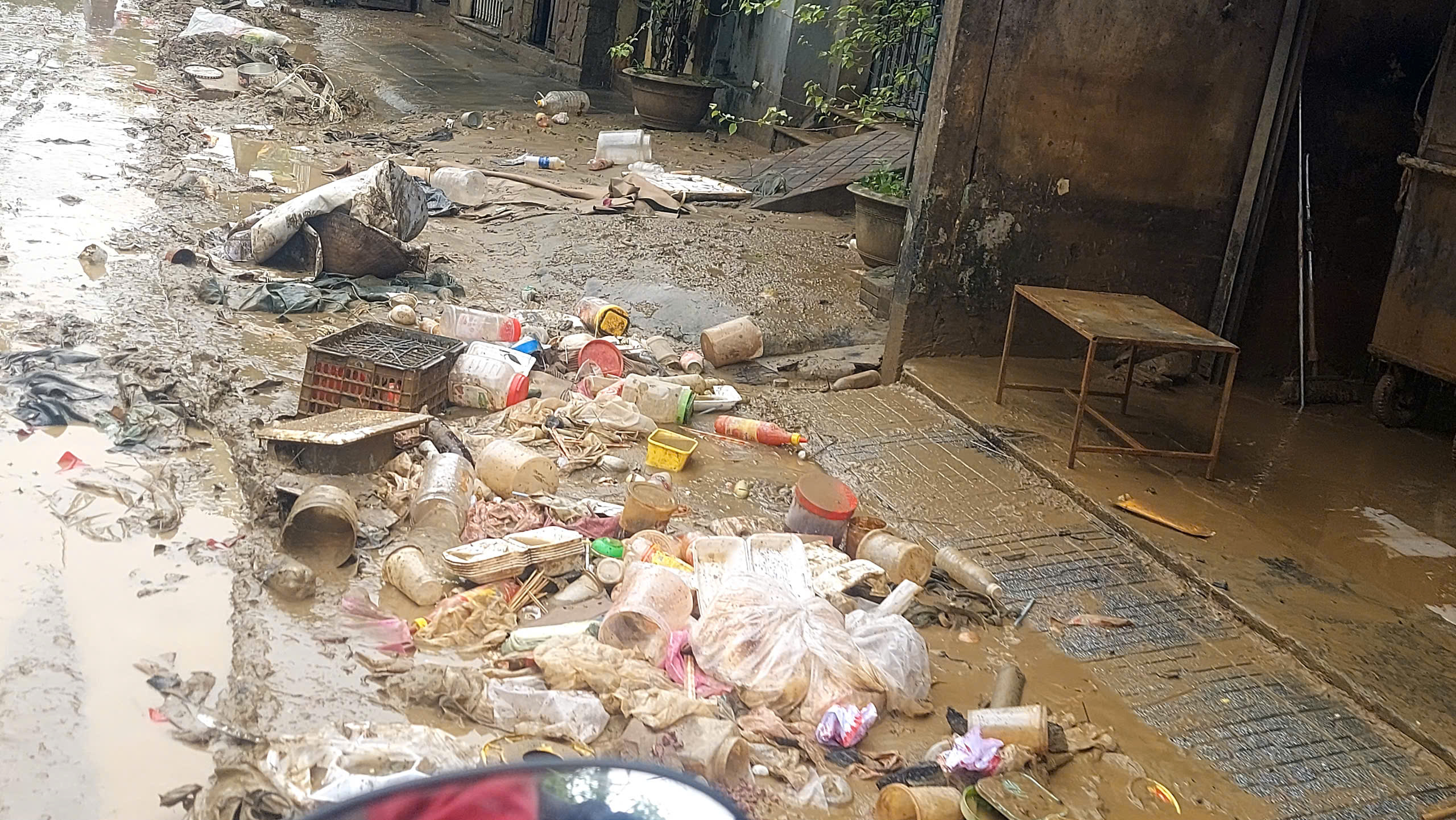 - Ảnh 14.  - Ảnh 14.