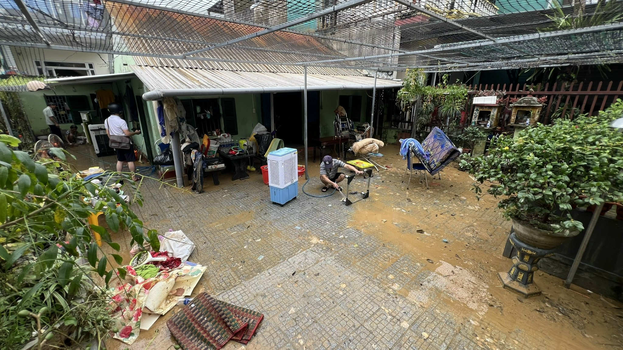 - Ảnh 2.  - Ảnh 2.