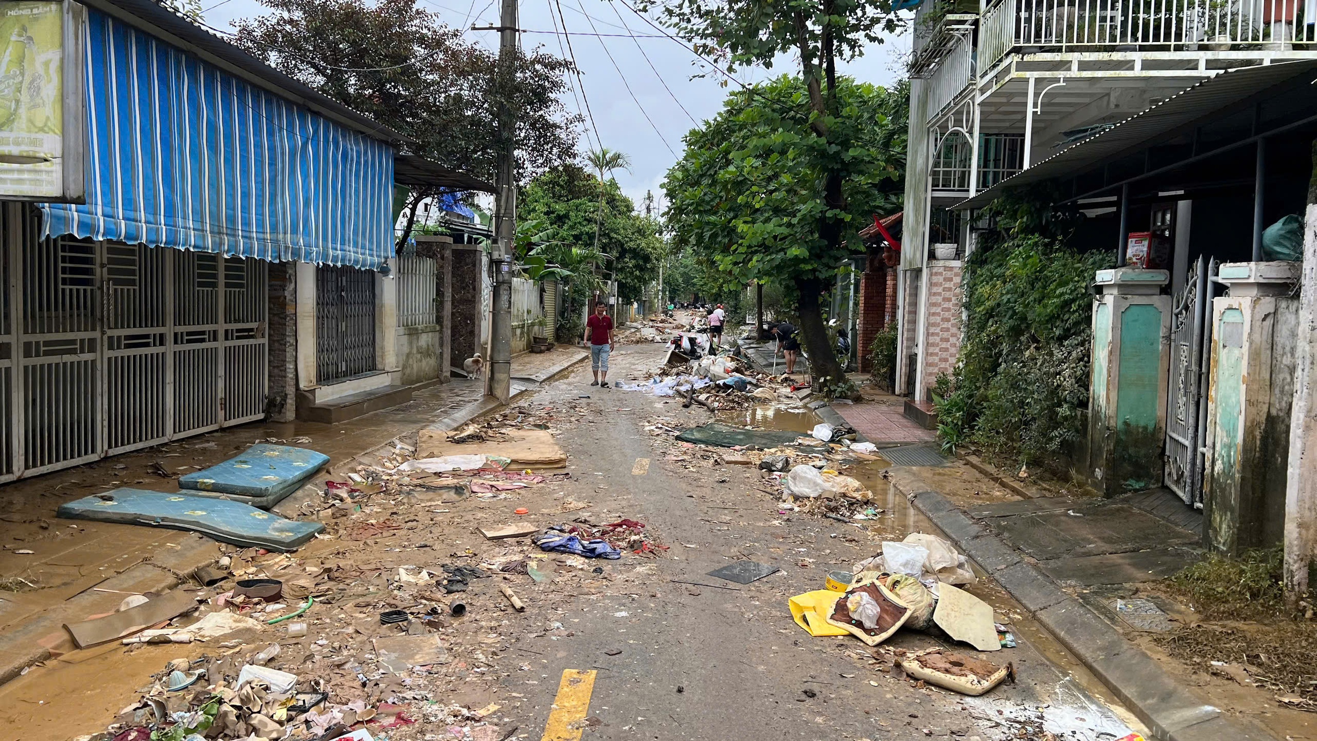 - Ảnh 15.  - Ảnh 15.