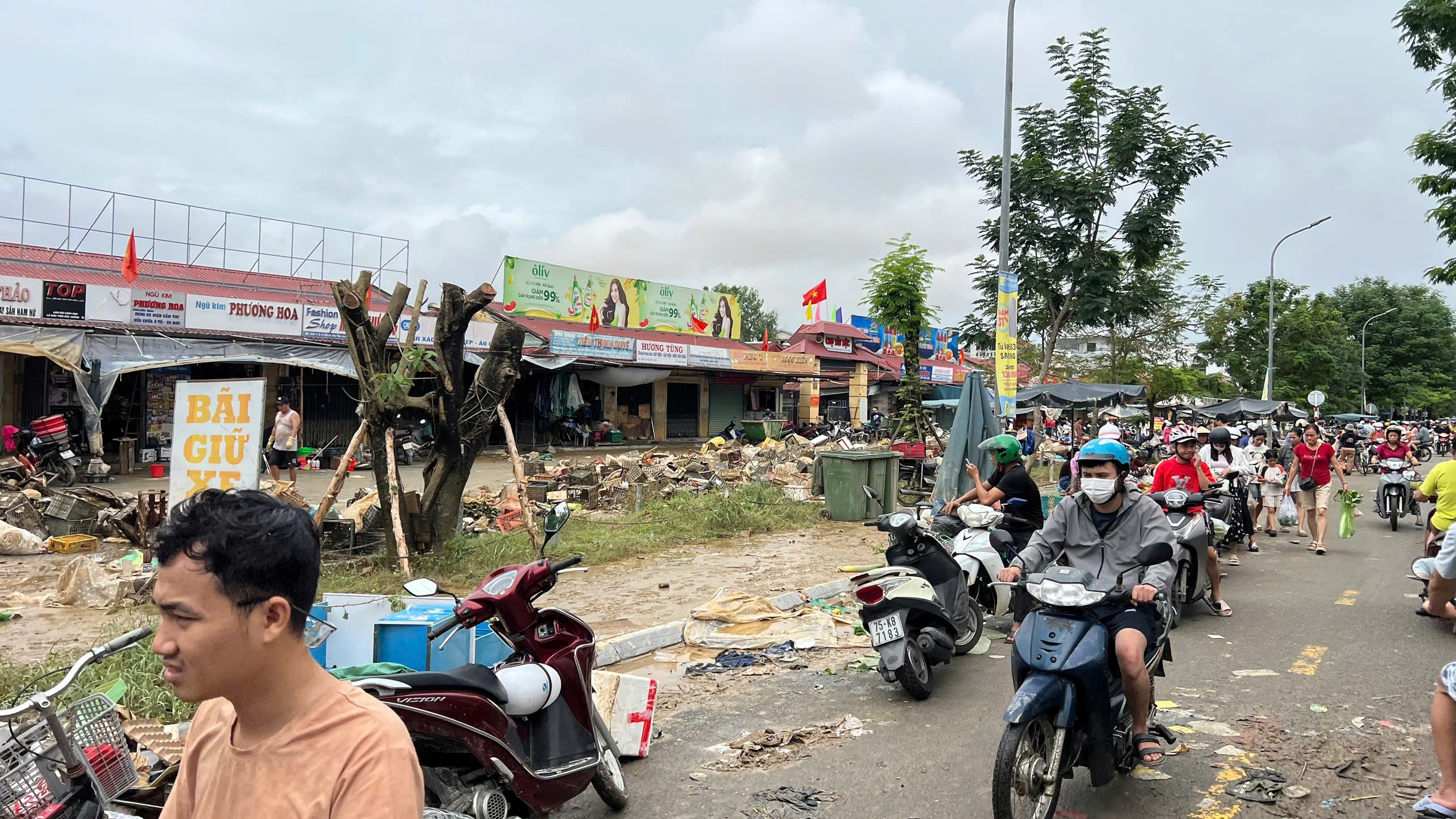 - Ảnh 12.  - Ảnh 12.