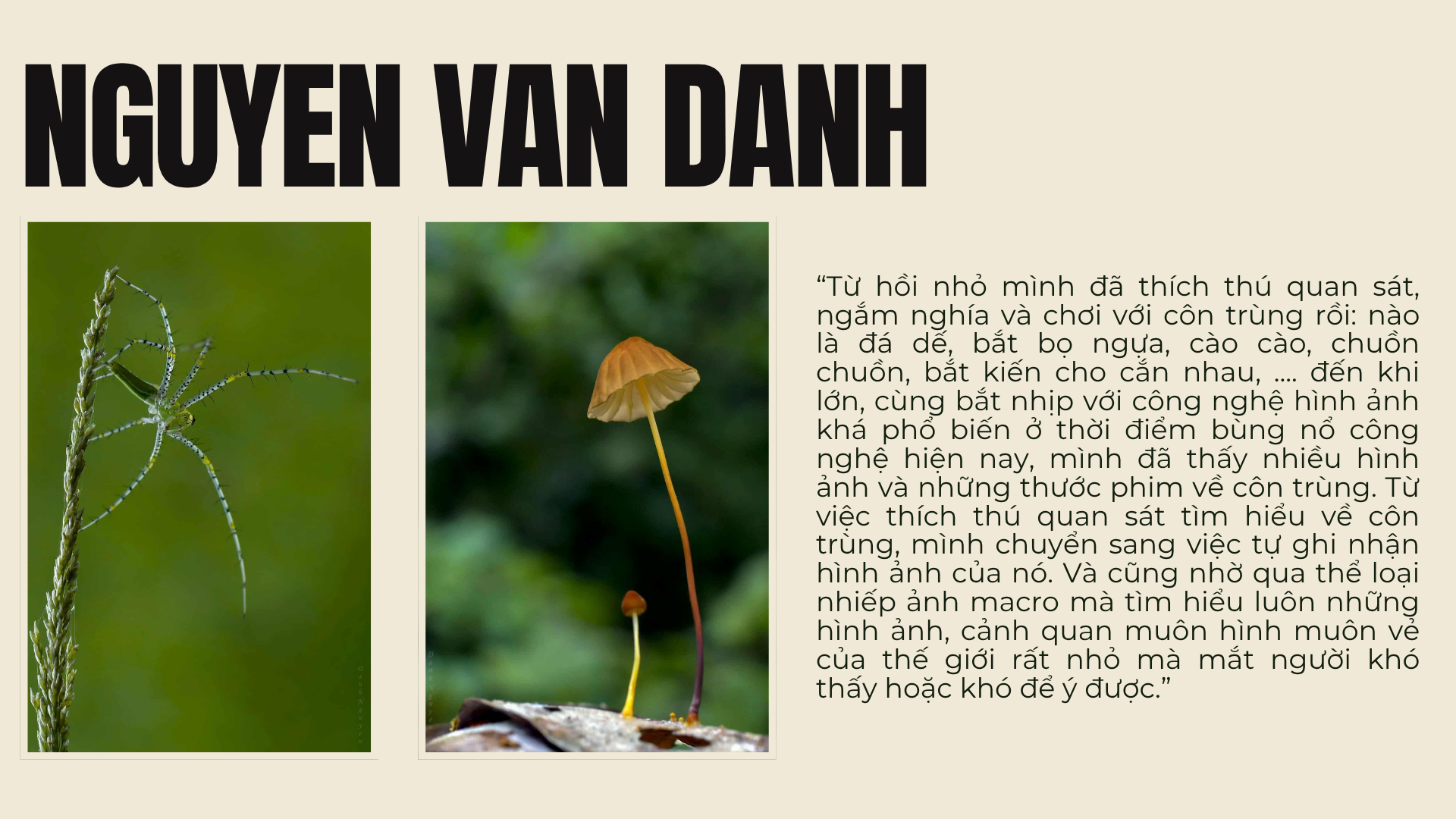 Nhìn thế giới từ góc độ khác: Nghệ thuật nhiếp ảnh macro   - Ảnh 13.