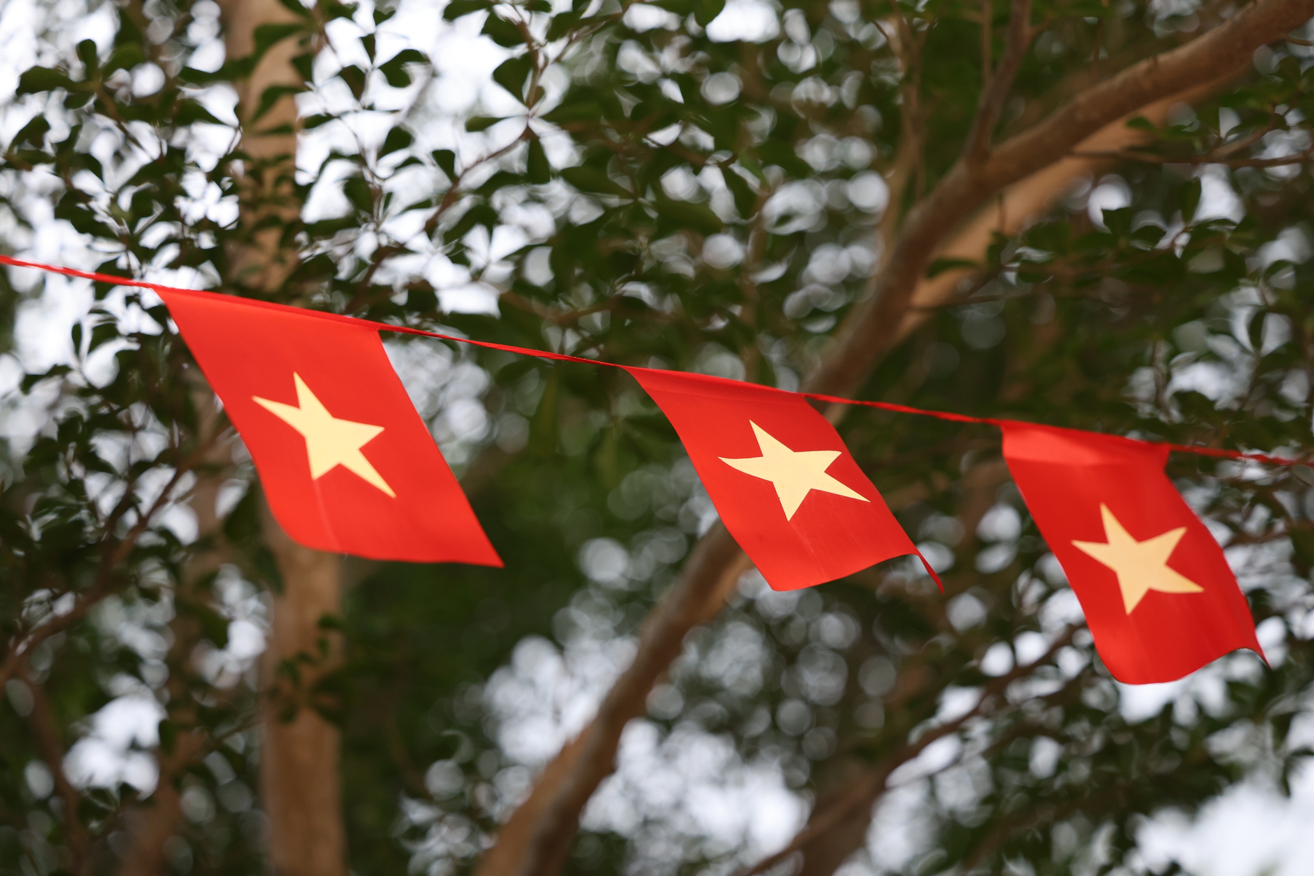 Học bổng và quà trung thu đến với thiếu nhi xã Hồng Thái, tỉnh Lâm Đồng - Ảnh 6.