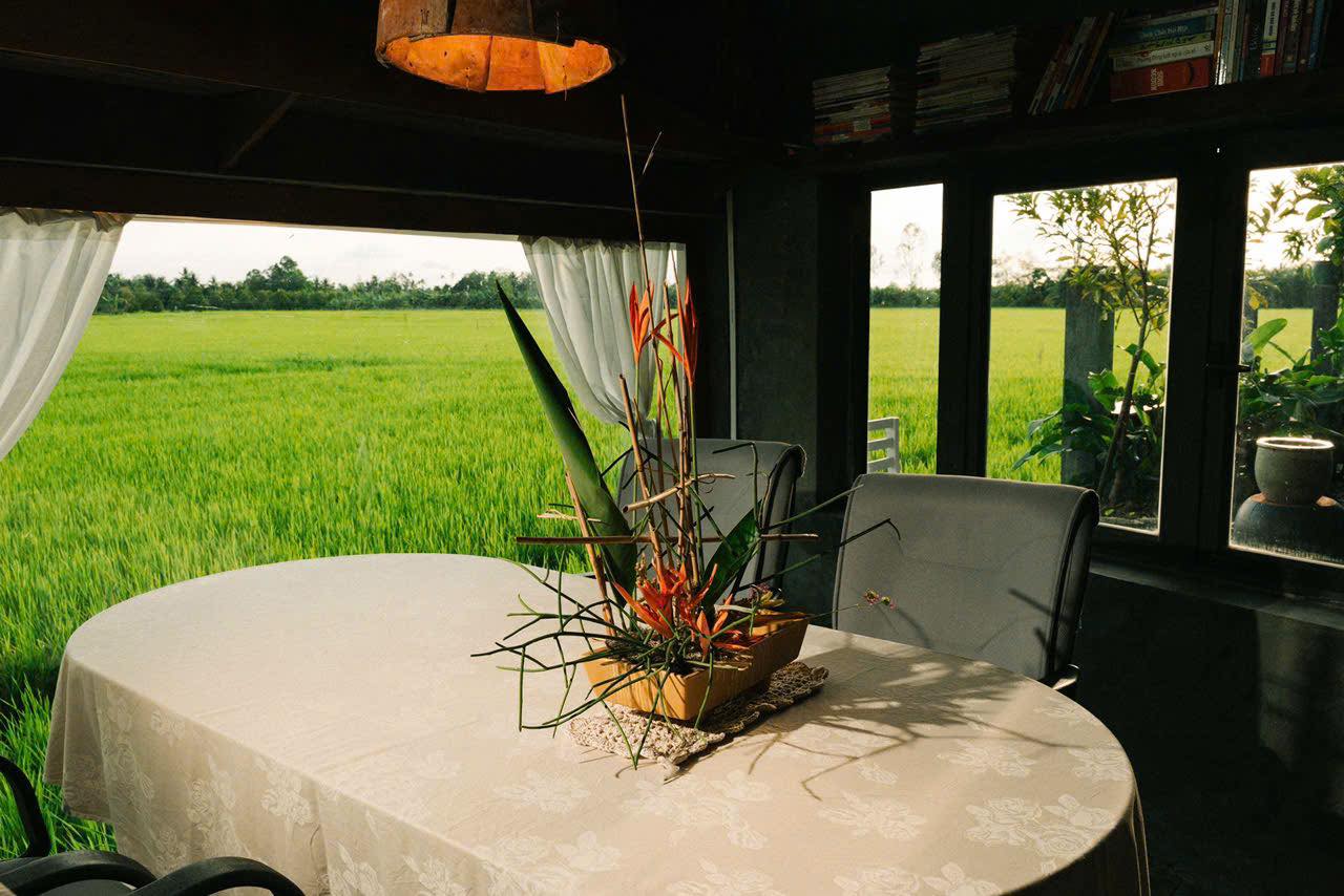 CLIP: Quán cà phê giữa đồng lúa ở Cần Thơ khiến giới trẻ