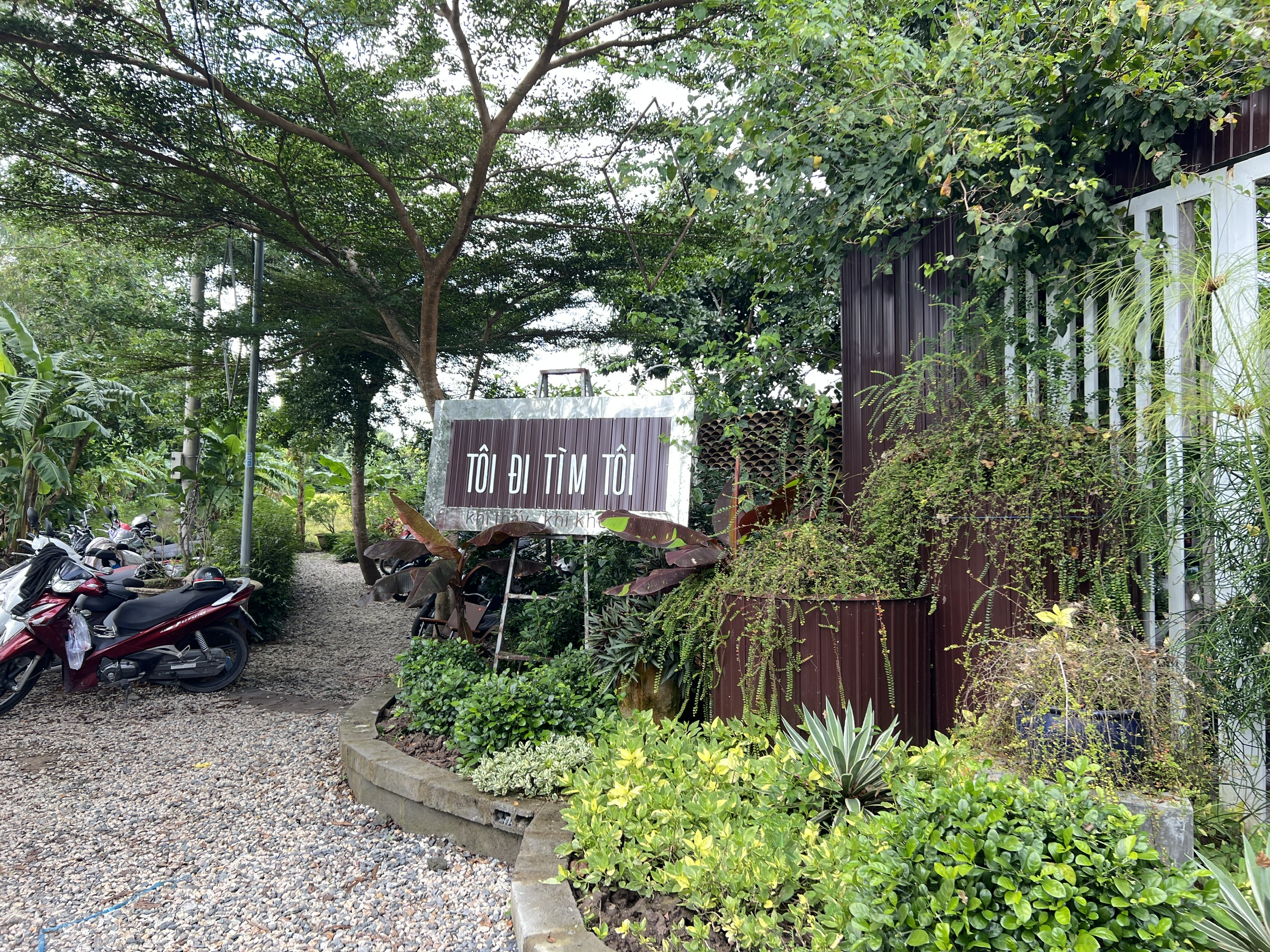 CLIP: Quán cà phê giữa đồng lúa ở Cần Thơ khiến giới trẻ