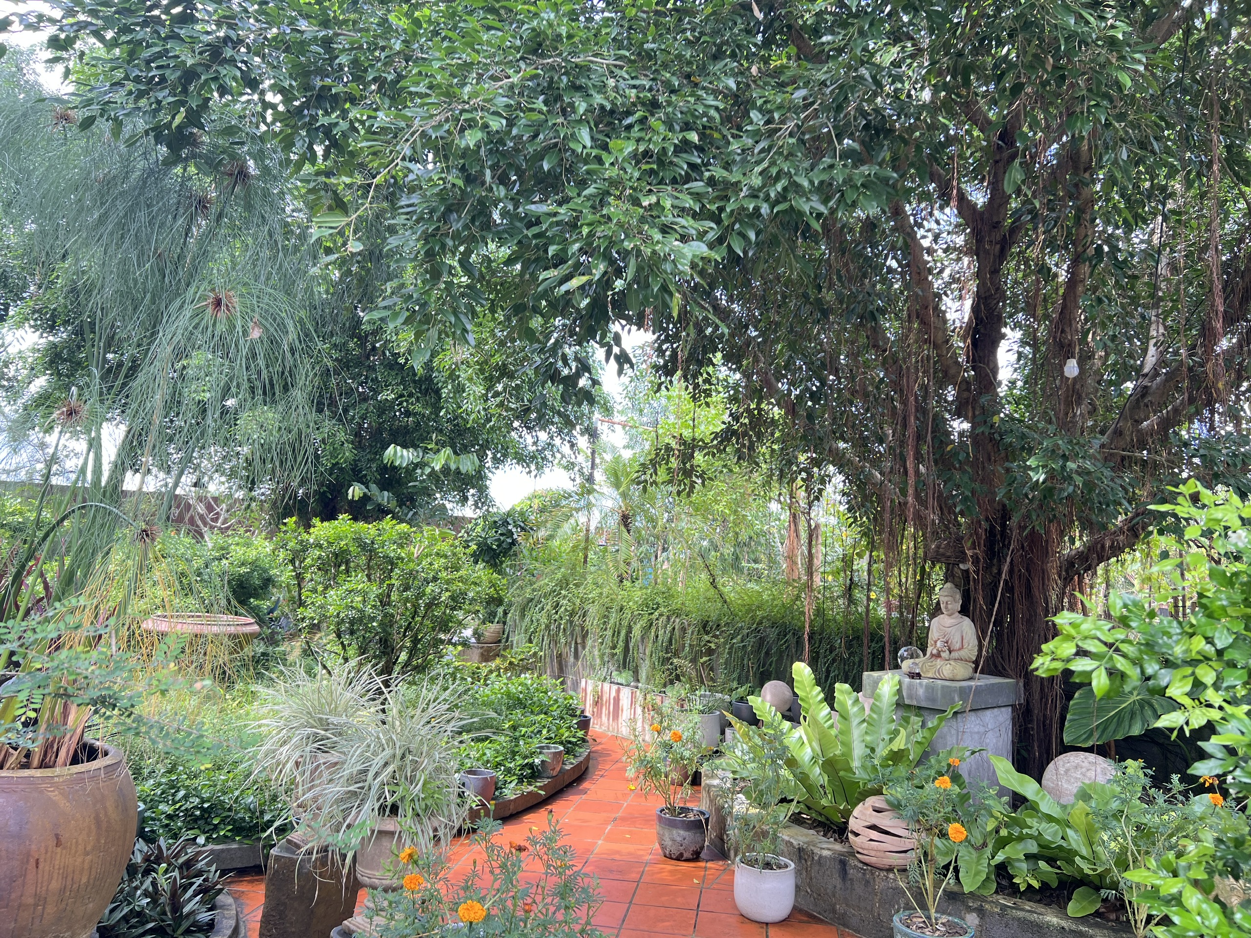 CLIP: Quán cà phê giữa đồng lúa ở Cần Thơ khiến giới trẻ