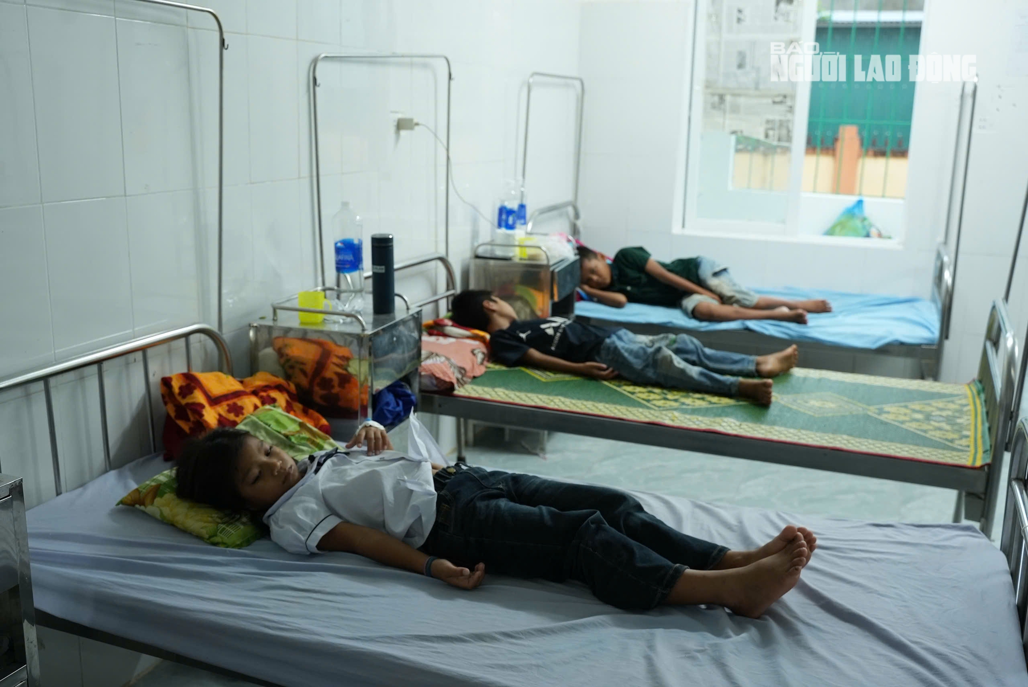 40 học sinh Quảng Trị nhập viện do bánh tày dương tính Bacillus cereus - Ảnh 3.