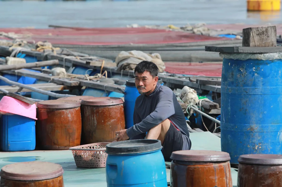 Đề cử Giải Mai Vàng Hạng mục Nam diễn viên điện ảnh, truyền hình: Nhiều gương mặt nổi bật - Ảnh 4. Đề cử Giải Mai Vàng Hạng mục Nam diễn viên điện ảnh, truyền hình: Nhiều gương mặt nổi bật - Ảnh 4.
