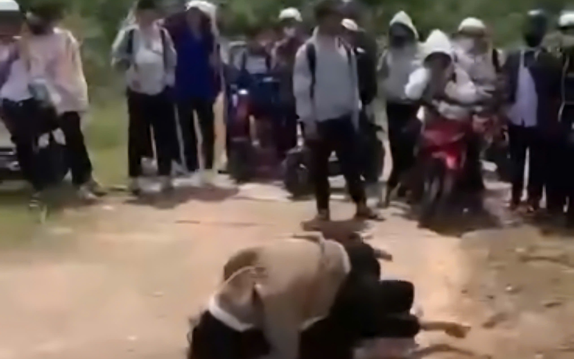 Rùng mình với clip nữ sinh đánh nhau bầm dập gây bức xúc dư luận 2026 - Ảnh 2. Rùng mình với clip nữ sinh đánh nhau bầm dập gây bức xúc dư luận 2026 - Ảnh 2.