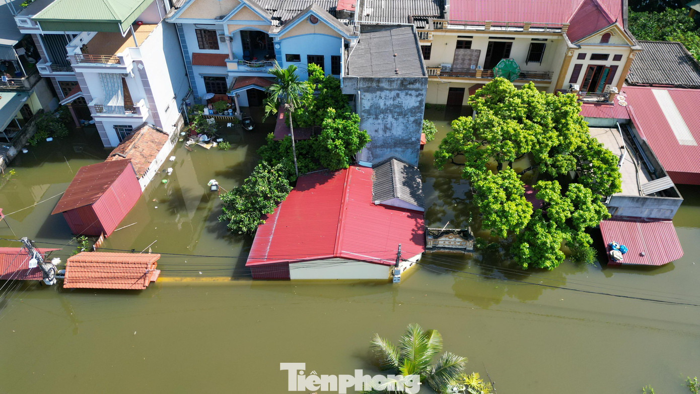 Biệt thự chìm trong biển nước , làng Quả Cảm thành ốc đảo giữa Bắc Ninh - Ảnh 2. Biệt thự chìm trong biển nước , làng Quả Cảm thành ốc đảo giữa Bắc Ninh - Ảnh 2.