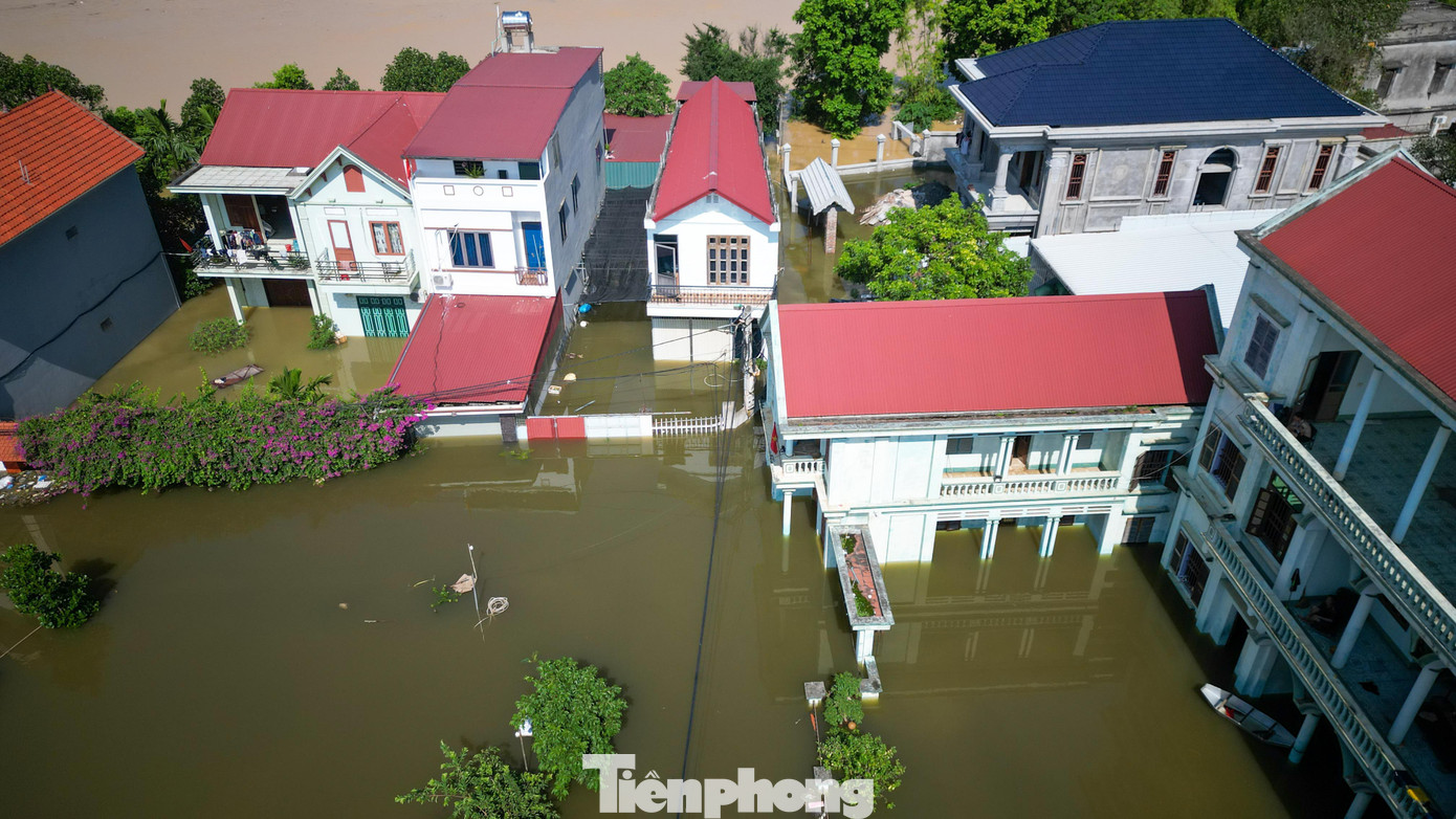 Biệt thự chìm trong biển nước , làng Quả Cảm thành ốc đảo giữa Bắc Ninh - Ảnh 3. Biệt thự chìm trong biển nước , làng Quả Cảm thành ốc đảo giữa Bắc Ninh - Ảnh 3.