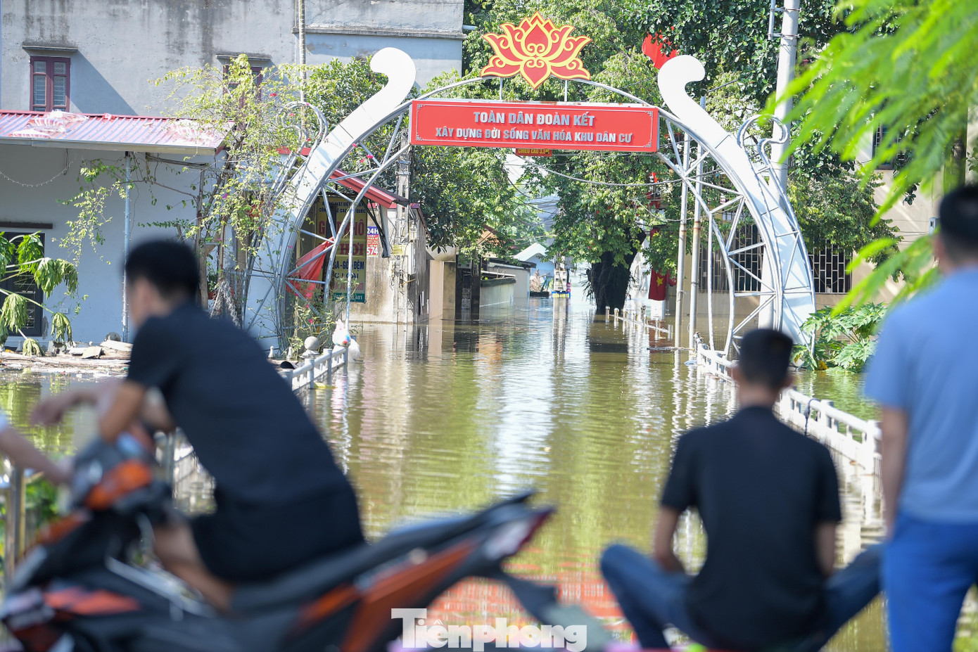 Biệt thự chìm trong biển nước , làng Quả Cảm thành ốc đảo giữa Bắc Ninh - Ảnh 11. Biệt thự chìm trong biển nước , làng Quả Cảm thành ốc đảo giữa Bắc Ninh - Ảnh 11.