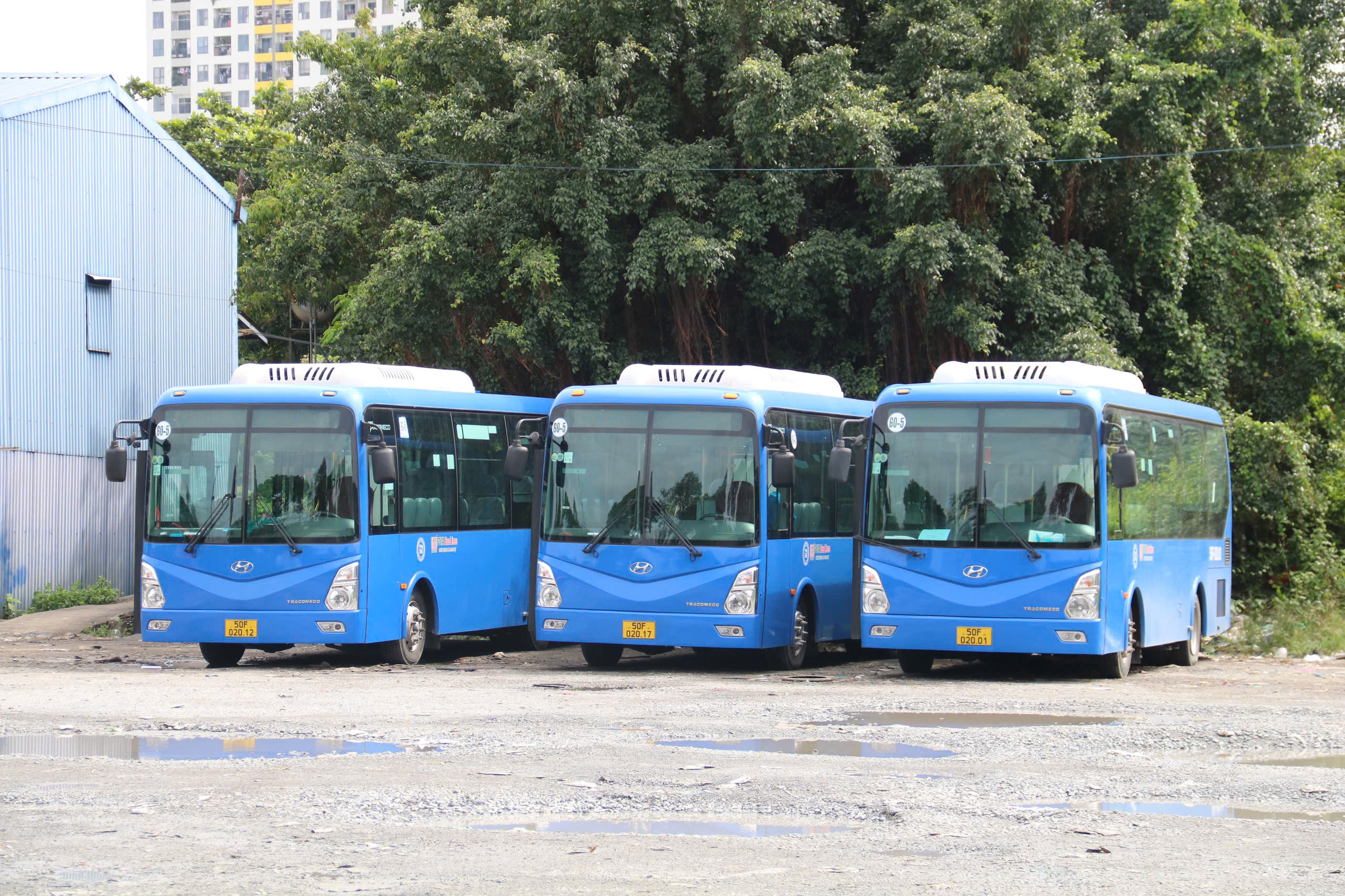 TP HCM sắp có tuyến xe buýt mới đến Đại học Quốc gia - Ảnh 1.
