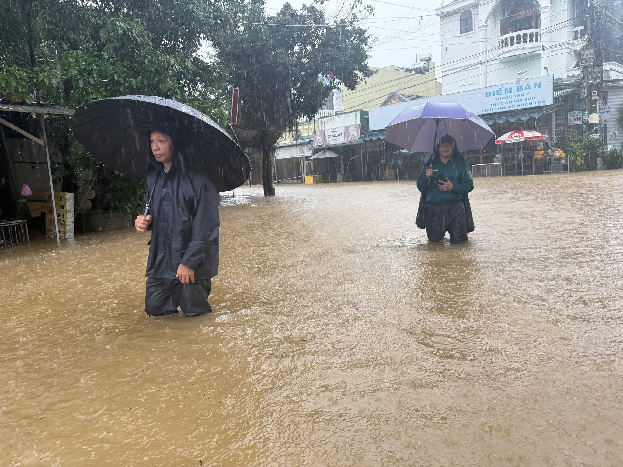 - Ảnh 2.  - Ảnh 2.