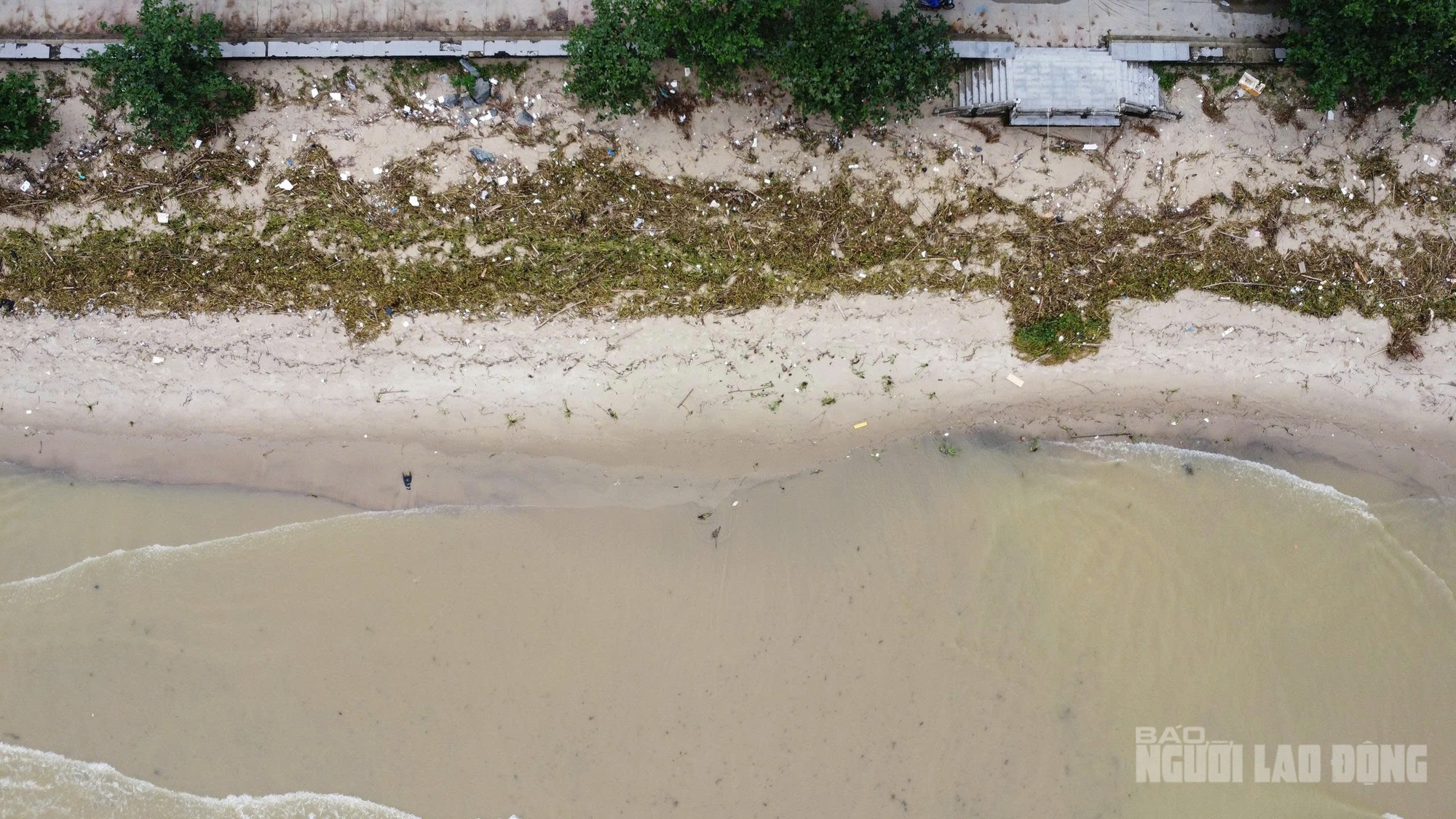 Bãi biển Đà Nẵng ngập rác sau mưa lớn kéo dài , cảnh báo ô nhiễm môi trường - Ảnh 2. Bãi biển Đà Nẵng ngập rác sau mưa lớn kéo dài , cảnh báo ô nhiễm môi trường - Ảnh 2.