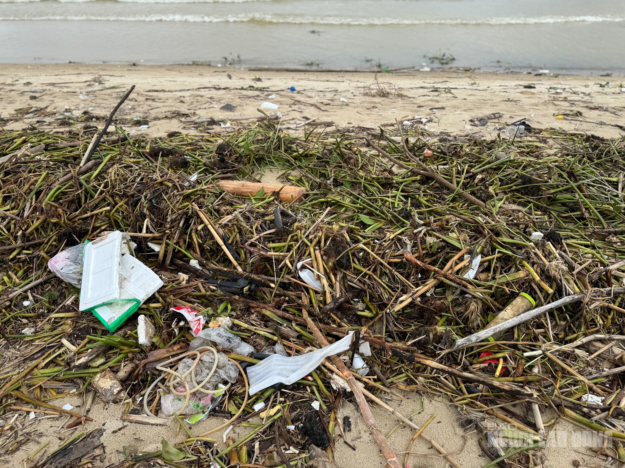 Bãi biển Đà Nẵng ngập rác sau mưa lớn kéo dài , cảnh báo ô nhiễm môi trường - Ảnh 5. Bãi biển Đà Nẵng ngập rác sau mưa lớn kéo dài , cảnh báo ô nhiễm môi trường - Ảnh 5.