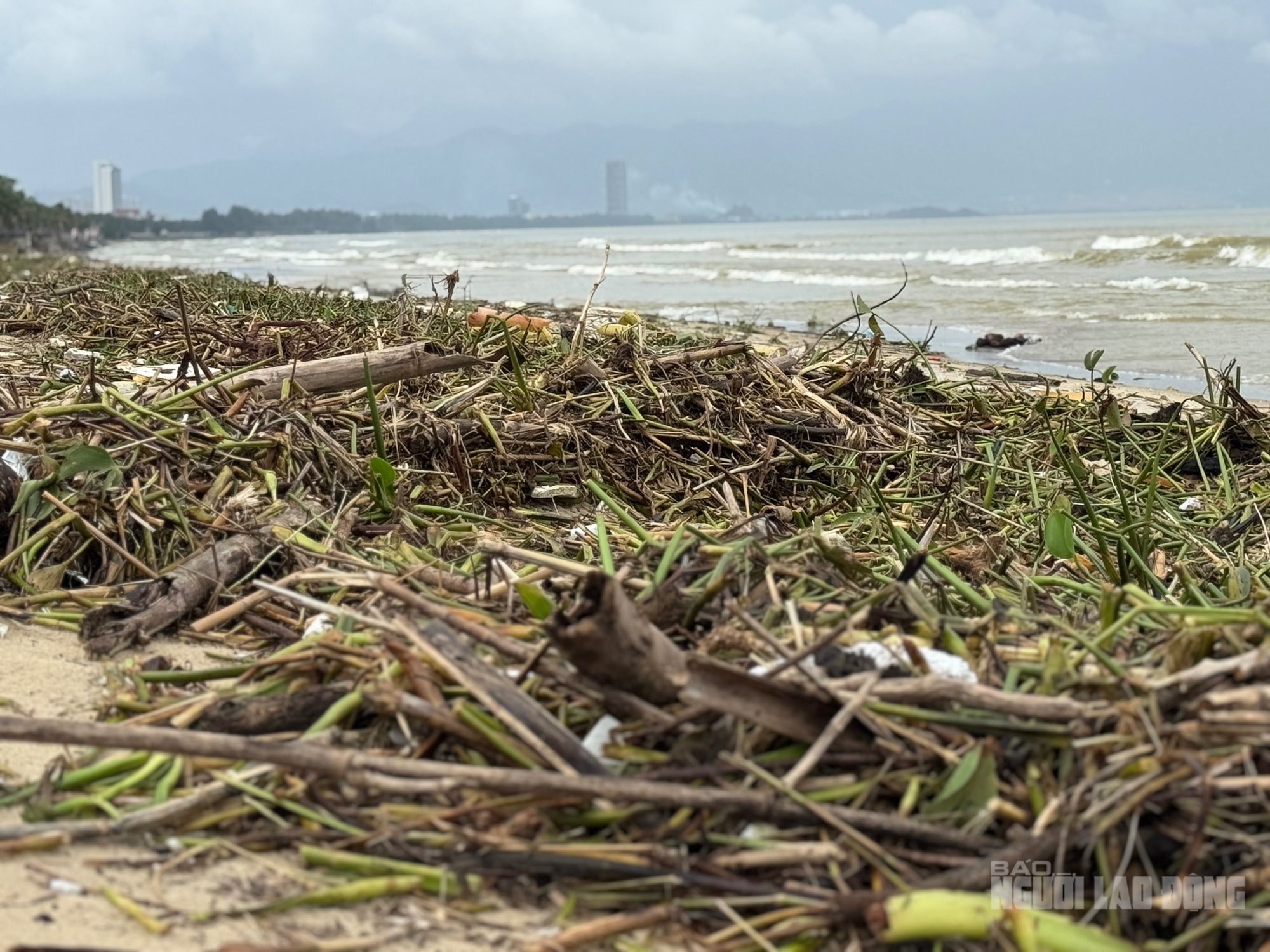 Bãi biển Đà Nẵng ngập rác sau mưa lớn kéo dài , cảnh báo ô nhiễm môi trường - Ảnh 6. Bãi biển Đà Nẵng ngập rác sau mưa lớn kéo dài , cảnh báo ô nhiễm môi trường - Ảnh 6.