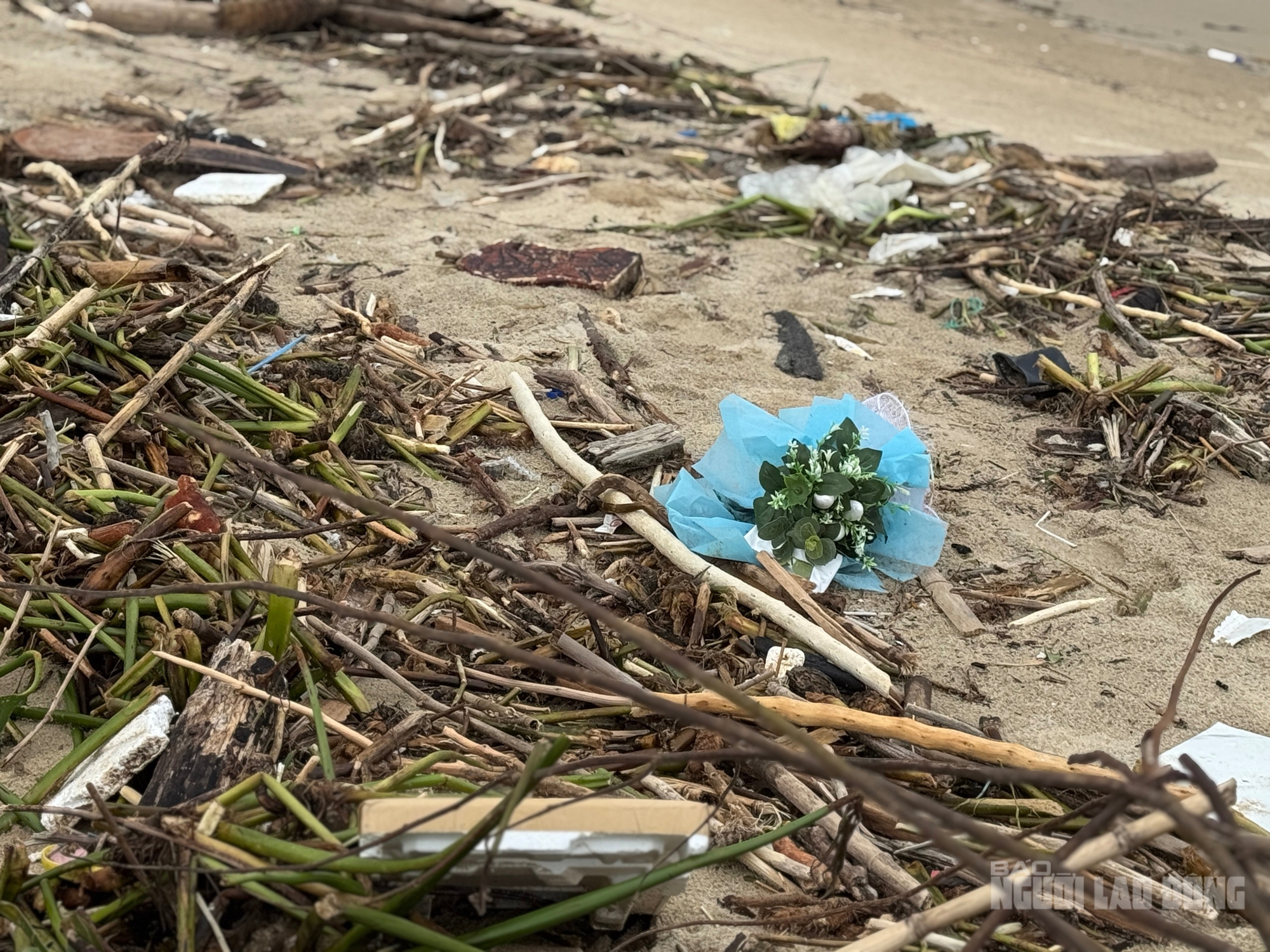 Bãi biển Đà Nẵng ngập rác sau mưa lớn kéo dài , cảnh báo ô nhiễm môi trường - Ảnh 8. Bãi biển Đà Nẵng ngập rác sau mưa lớn kéo dài , cảnh báo ô nhiễm môi trường - Ảnh 8.