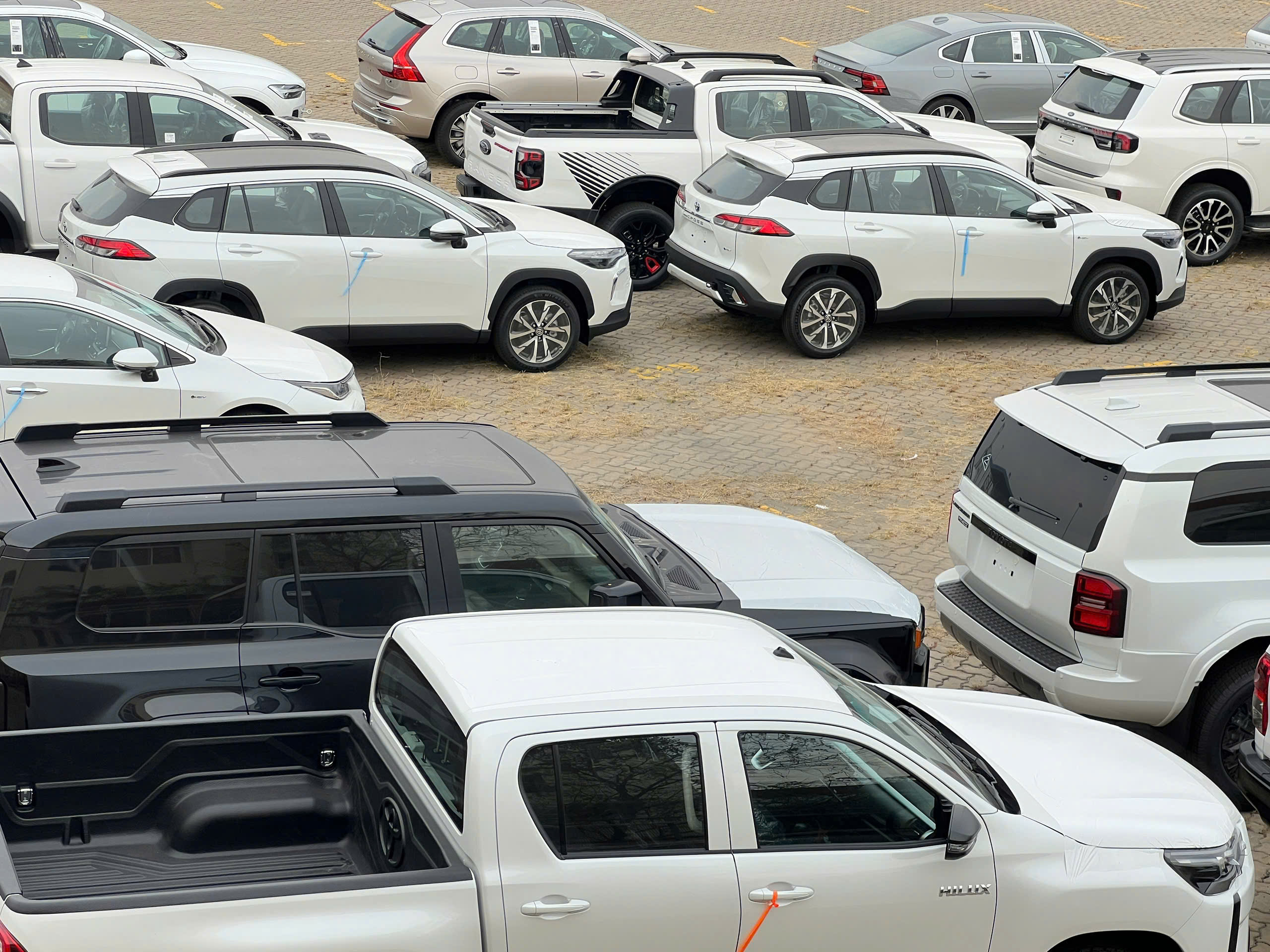 Hàng ngàn xe ô tô vừa cập cảng Hiệp Phước - Ảnh 2.