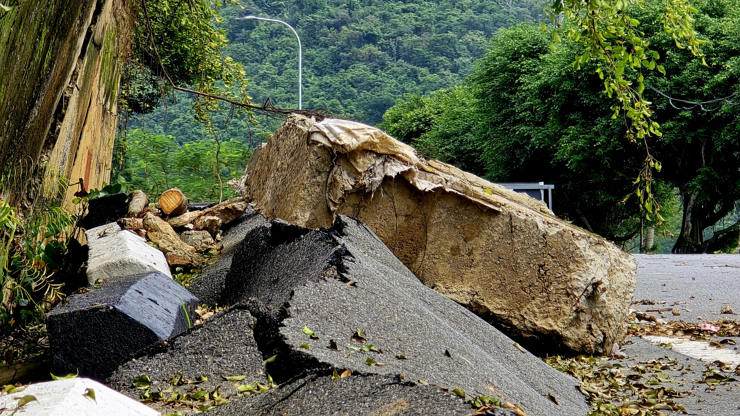 Nước đổ đá rơi, nhiều đoạn trên bán đảo Sơn Trà phải rào chắn ngăn khách du lịch - Ảnh 2.