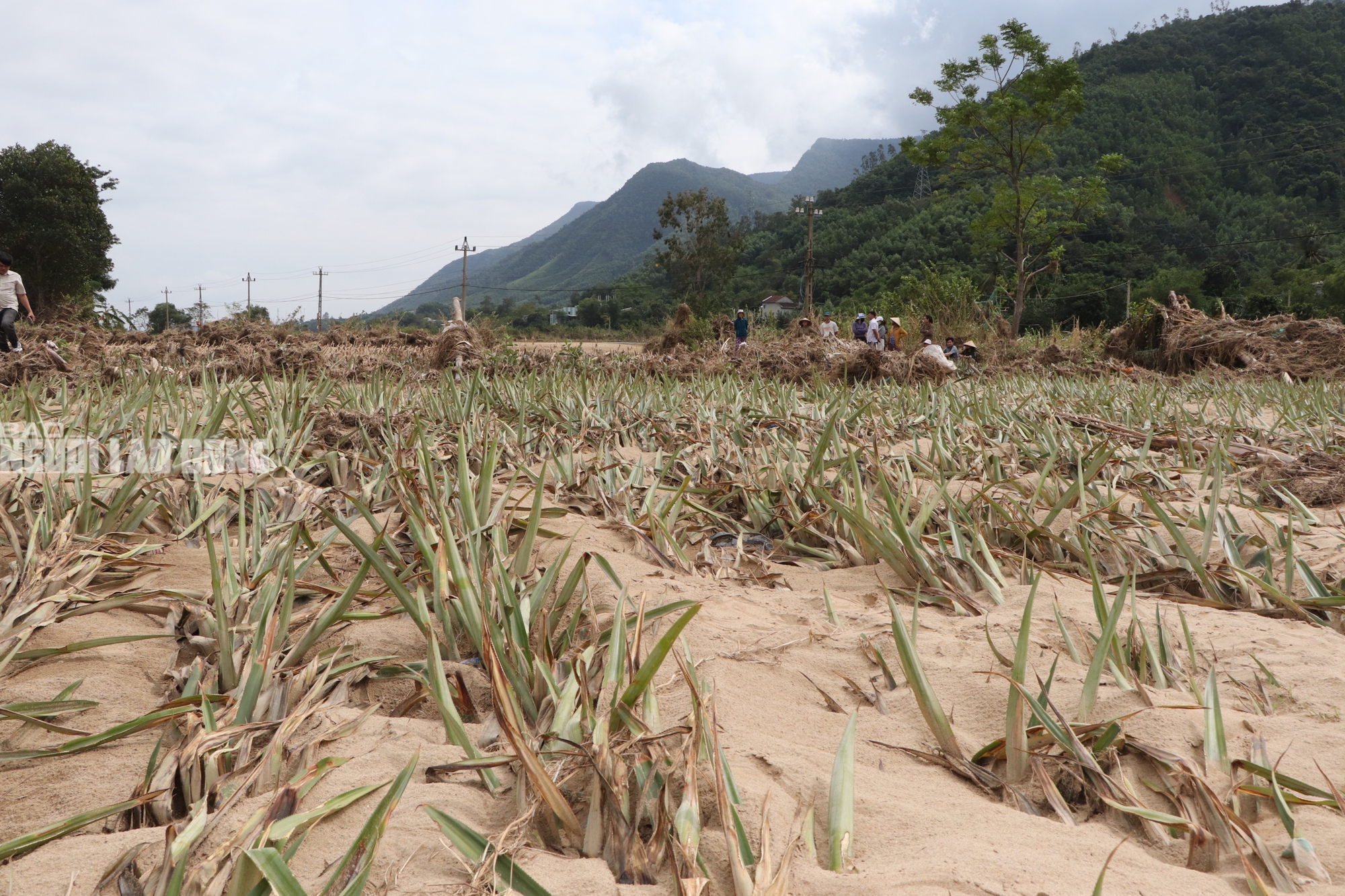 Tài sản bị "hà bá" nuốt chửng, người dân khóc cạn nước mắt bên dòng Vu Gia - Ảnh 1.