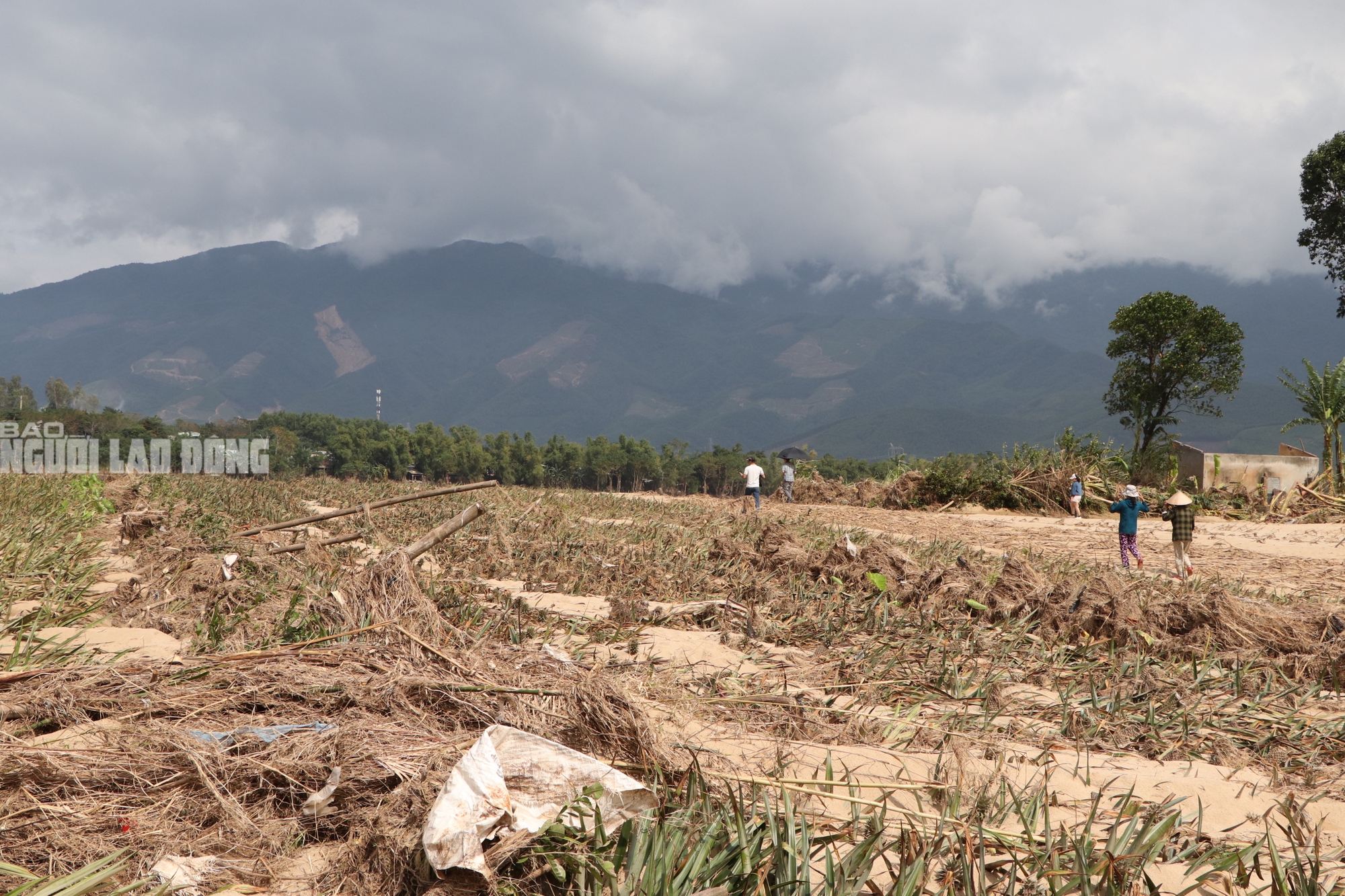 Tài sản bị "hà bá" nuốt chửng, người dân khóc cạn nước mắt bên dòng Vu Gia - Ảnh 2.