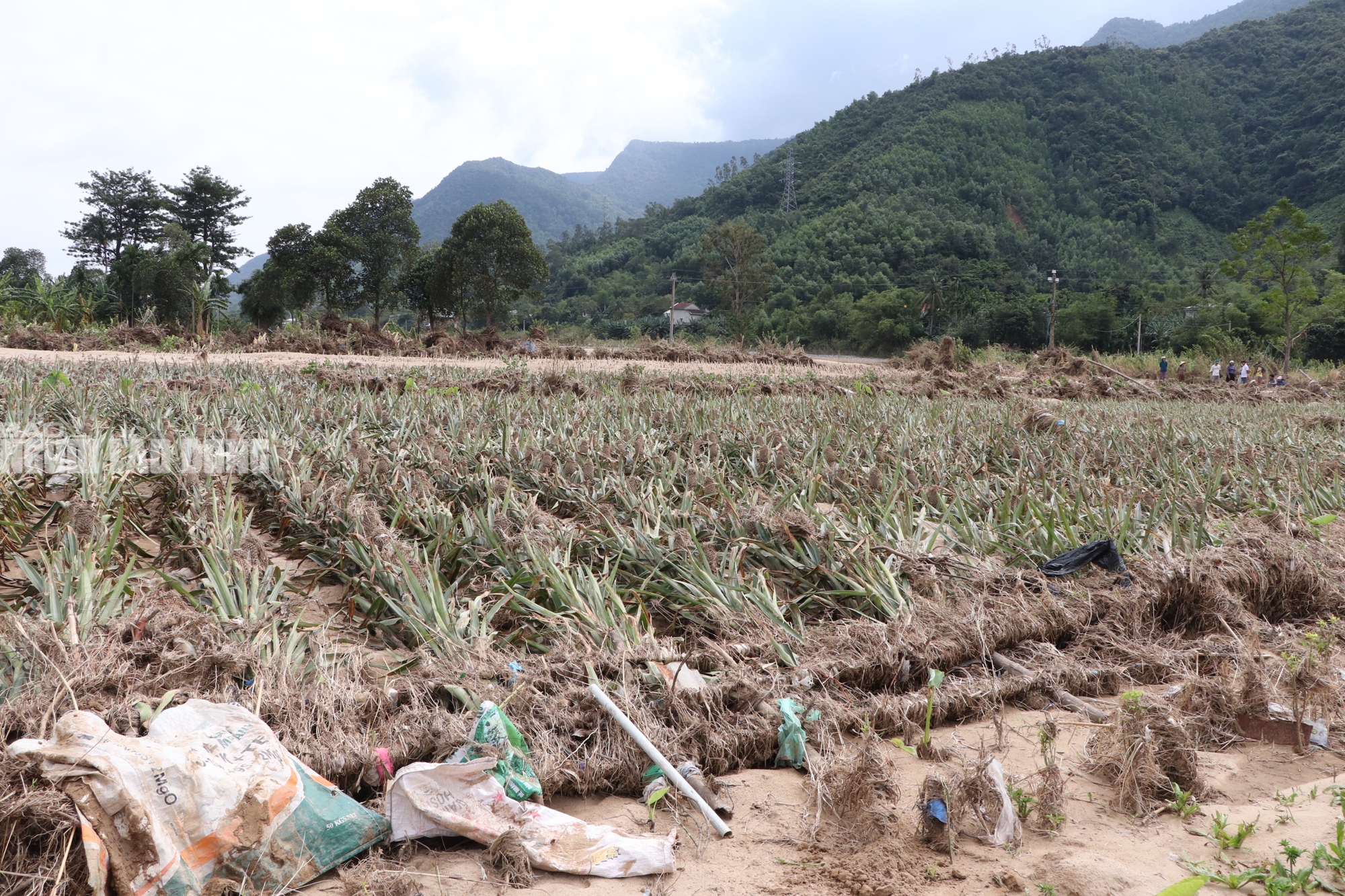 Tài sản bị "hà bá" nuốt chửng, người dân khóc cạn nước mắt bên dòng Vu Gia - Ảnh 11.