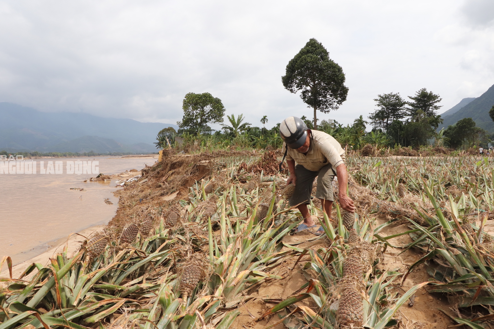 Tài sản bị "hà bá" nuốt chửng, người dân khóc cạn nước mắt bên dòng Vu Gia - Ảnh 14.
