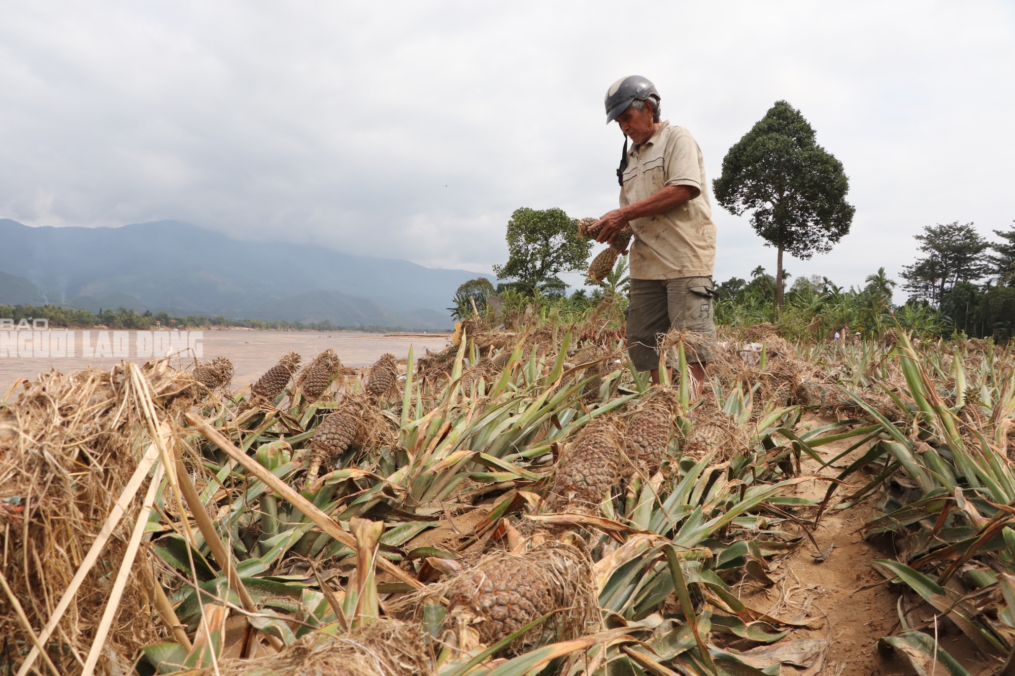 Tài sản bị "hà bá" nuốt chửng, người dân khóc cạn nước mắt bên dòng Vu Gia - Ảnh 15.