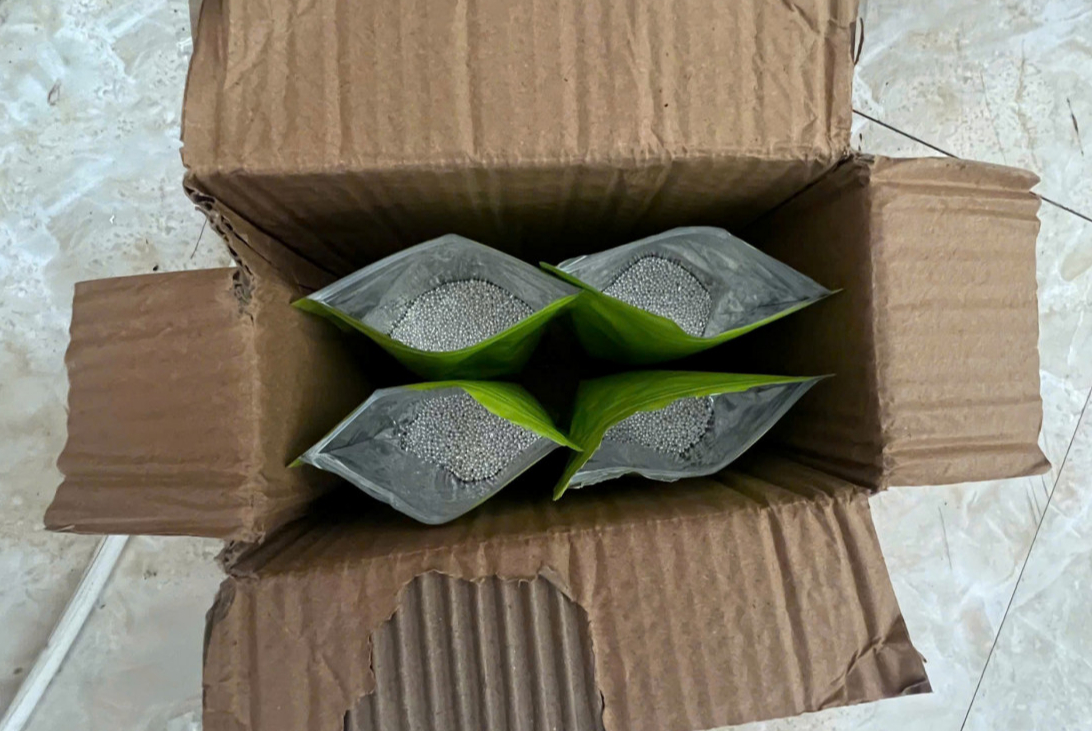 Số bạc dưới dạng các viên nhỏ hình tròn, cất giấu dưới đế giày để vận chuyển trái phép qua biên giới