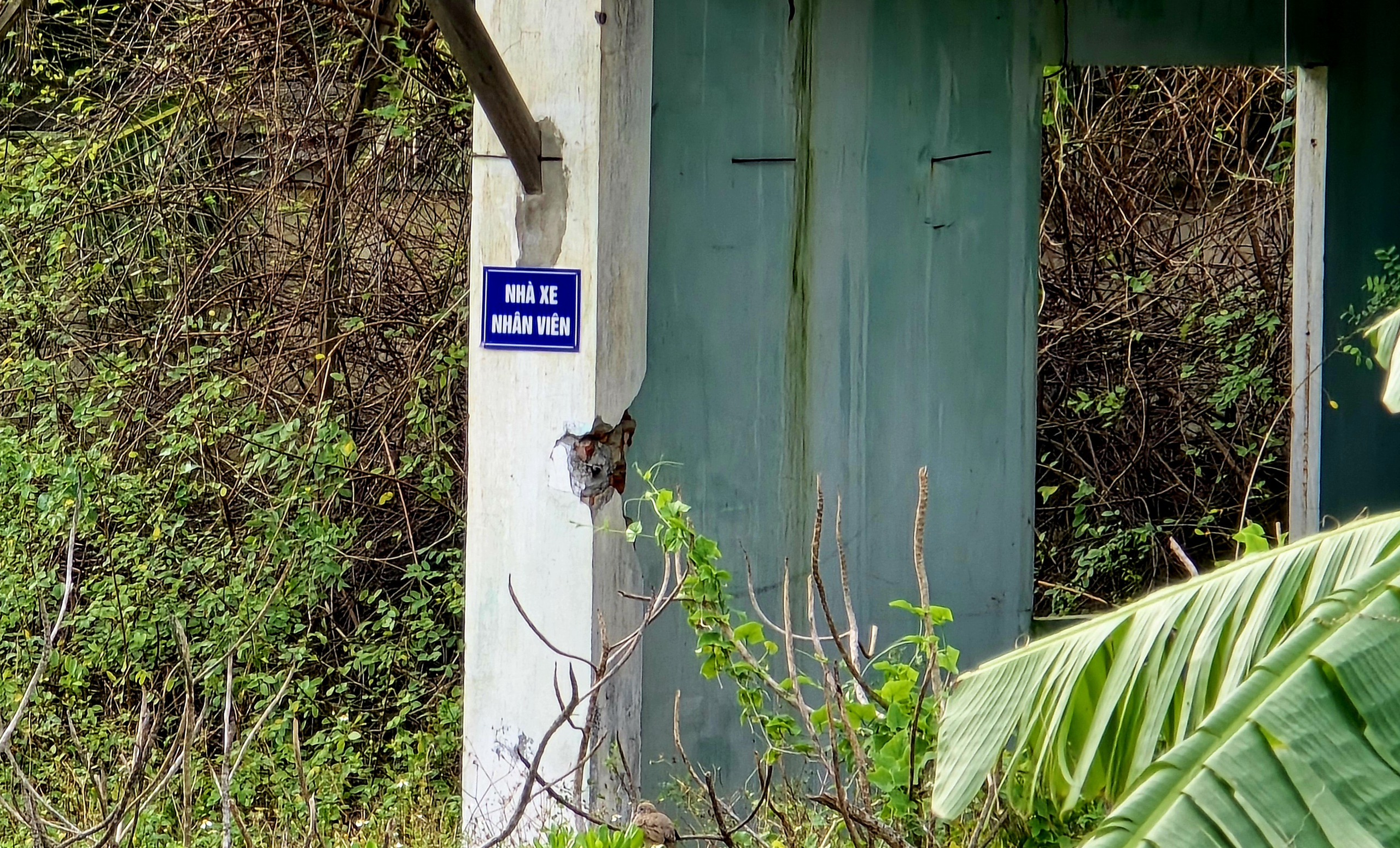 Bệnh viện bỏ hoang trên đất vàng ven biển Đà Nẵng trước thời điểm lên sàn đấu giá - Ảnh 8.