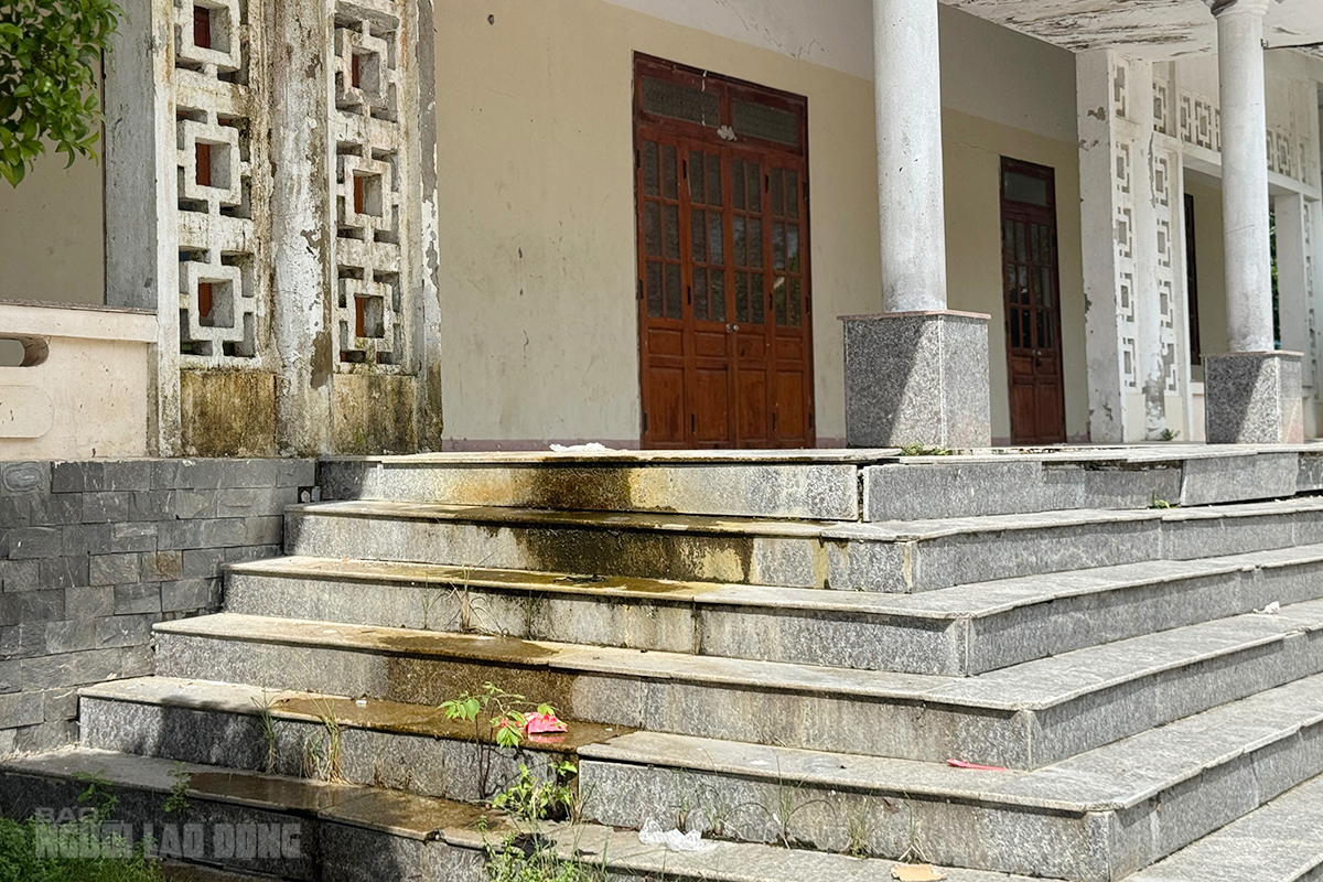 Trung tâm Văn hóa - Thể thao Hòa Liên Đà Nẵng: Tiền tỉ bỏ hoang gần 10 năm - Ảnh 2.