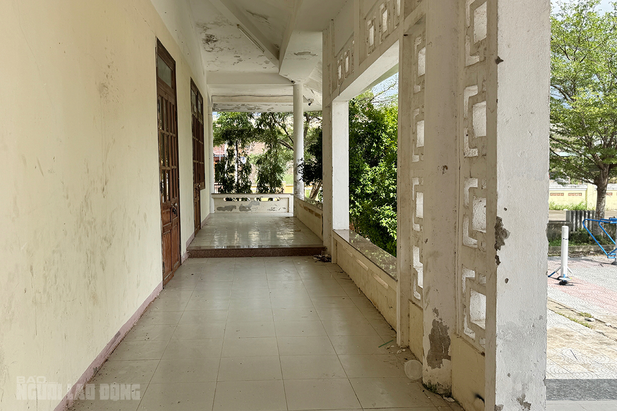 Trung tâm Văn hóa - Thể thao Hòa Liên Đà Nẵng: Tiền tỉ bỏ hoang gần 10 năm - Ảnh 8.