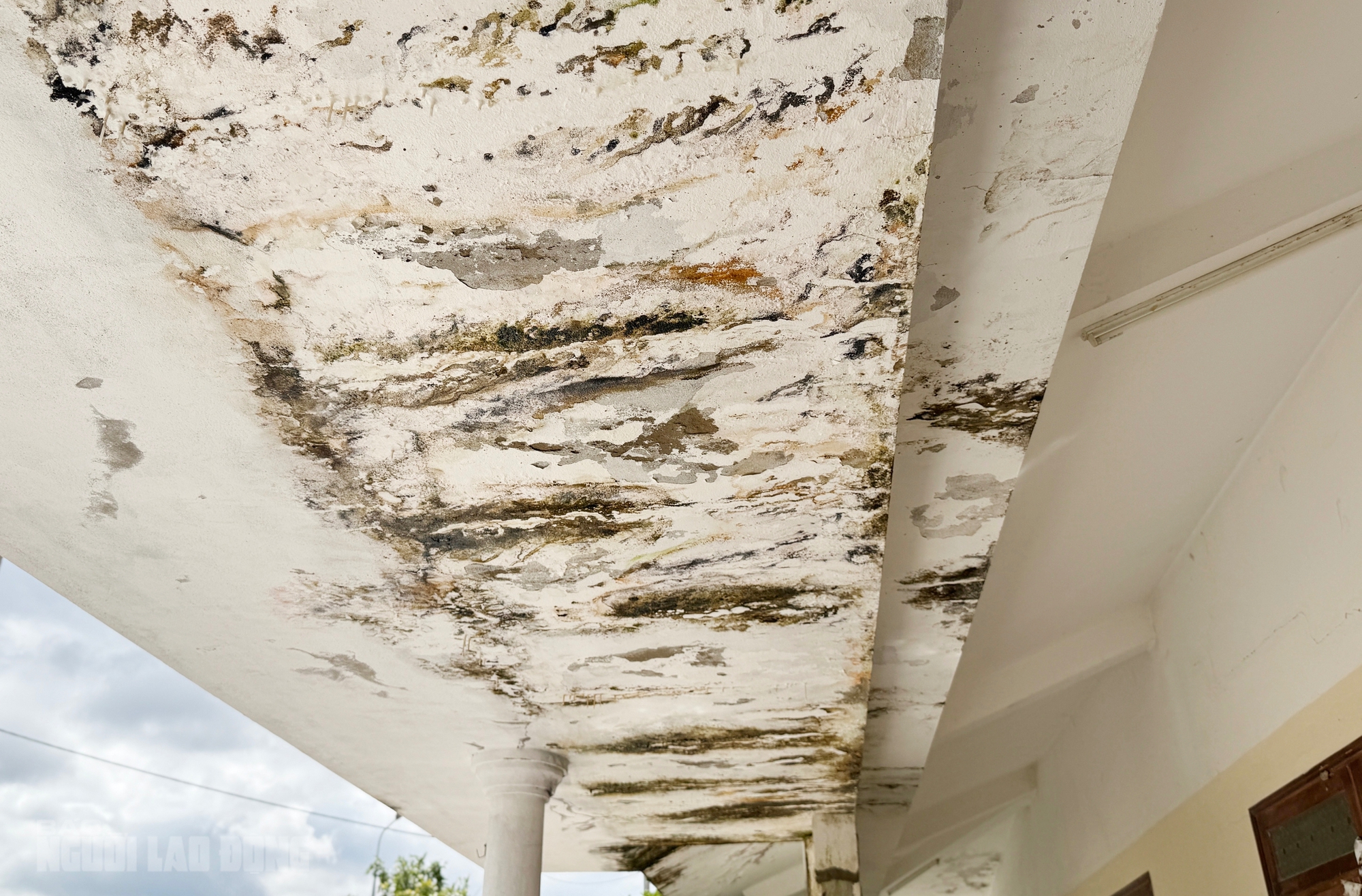 Trung tâm Văn hóa - Thể thao Hòa Liên Đà Nẵng: Tiền tỉ bỏ hoang gần 10 năm - Ảnh 11.