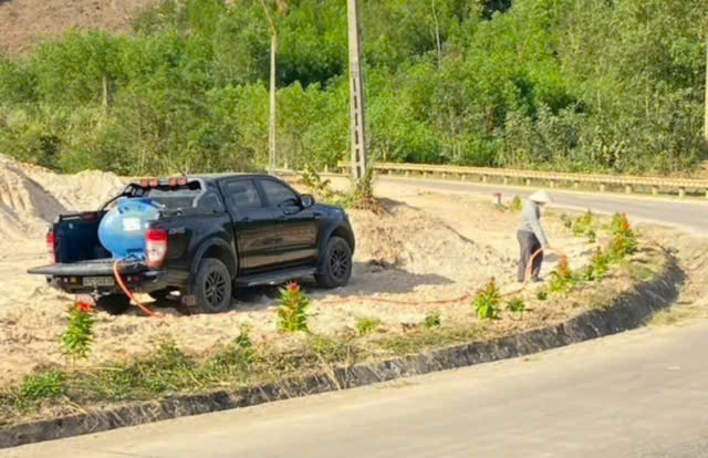 Đường hoa tưởng nhớ vợ quá cố của người đàn ông ở Đắk Lắk tiếp tục bị nhổ trộm - Ảnh 2.