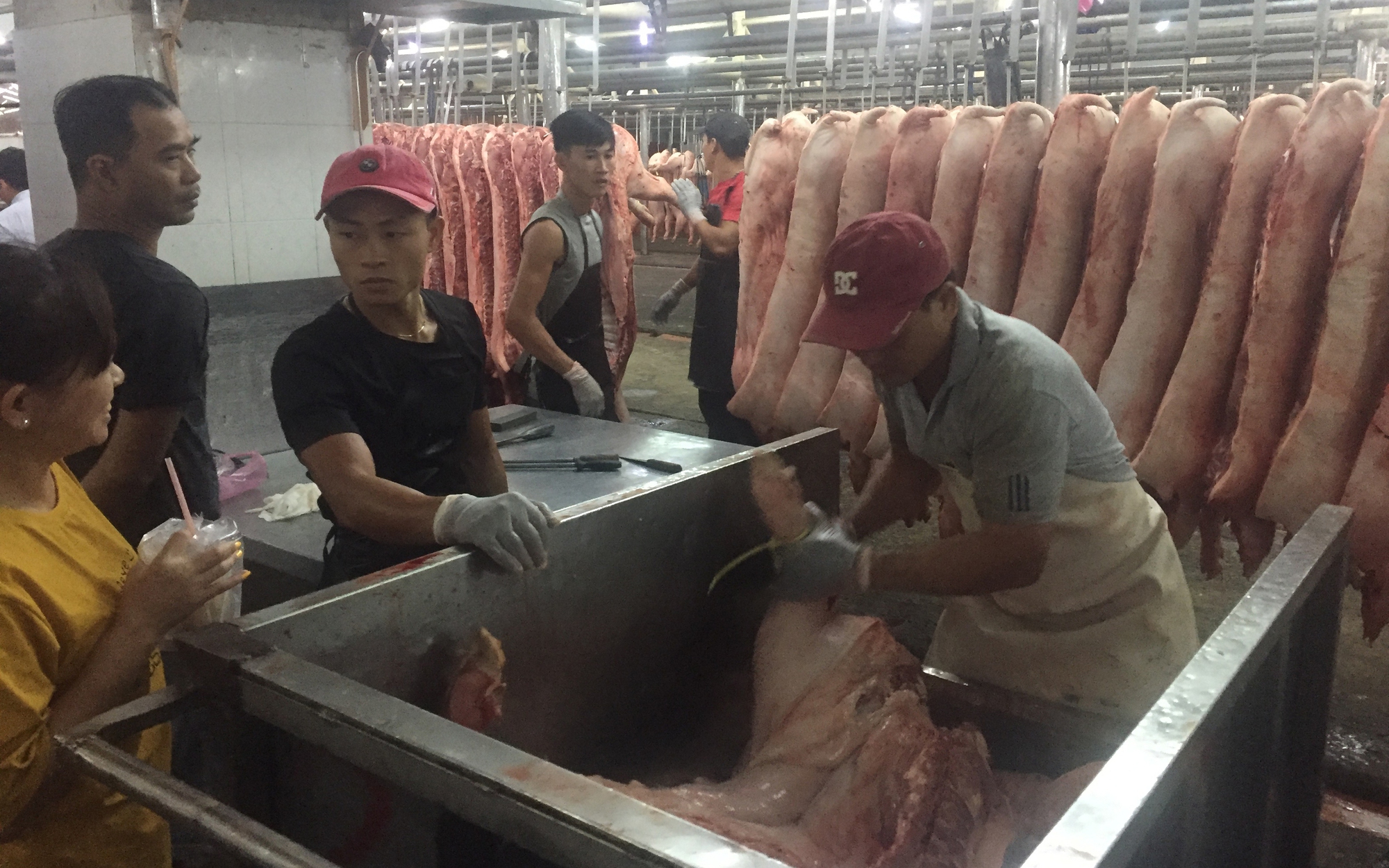 Giá heo hơi hôm nay, 16-11: Diễn biến mới từ chợ đầu mối - Ảnh 2.