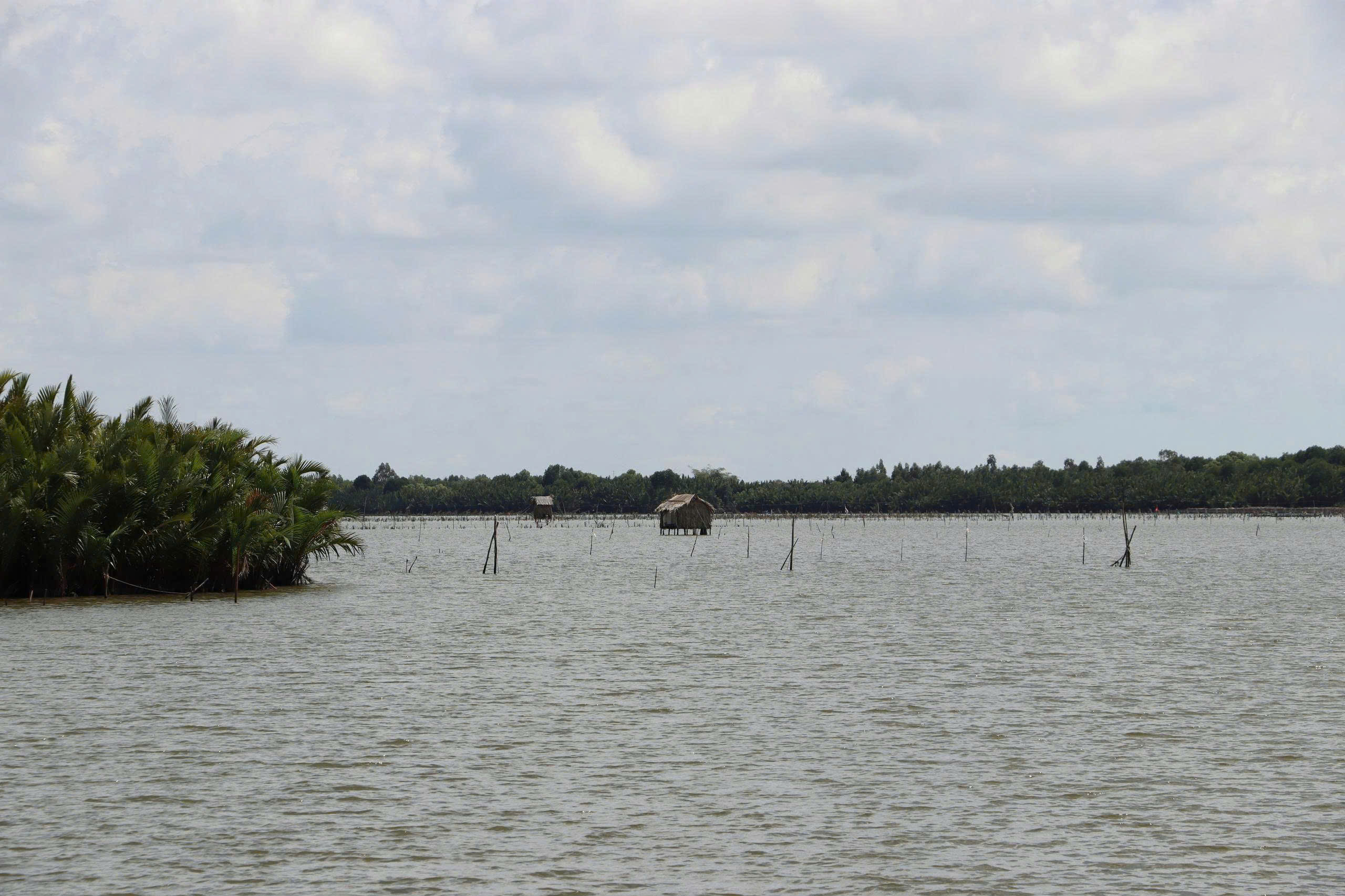 Khám phá "biển hồ giữa lòng đồng bằng" ở Cà Mau - Ảnh 4.