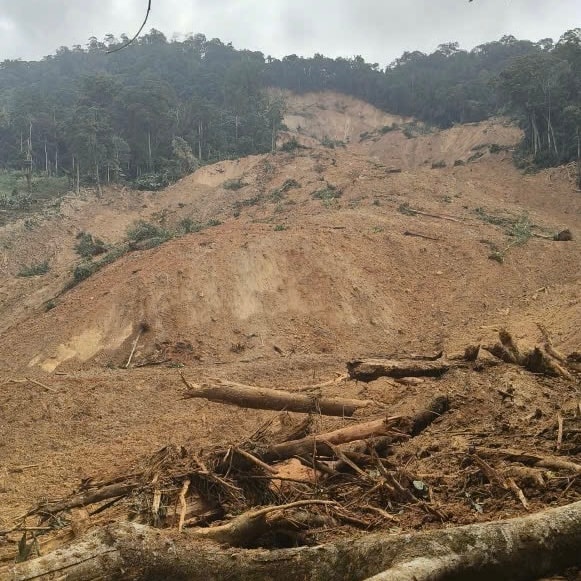 Lở núi ở Đà Nẵng: Vợ chồng công an viên và một người dân có thể đã bị vùi lấp - Ảnh 1.