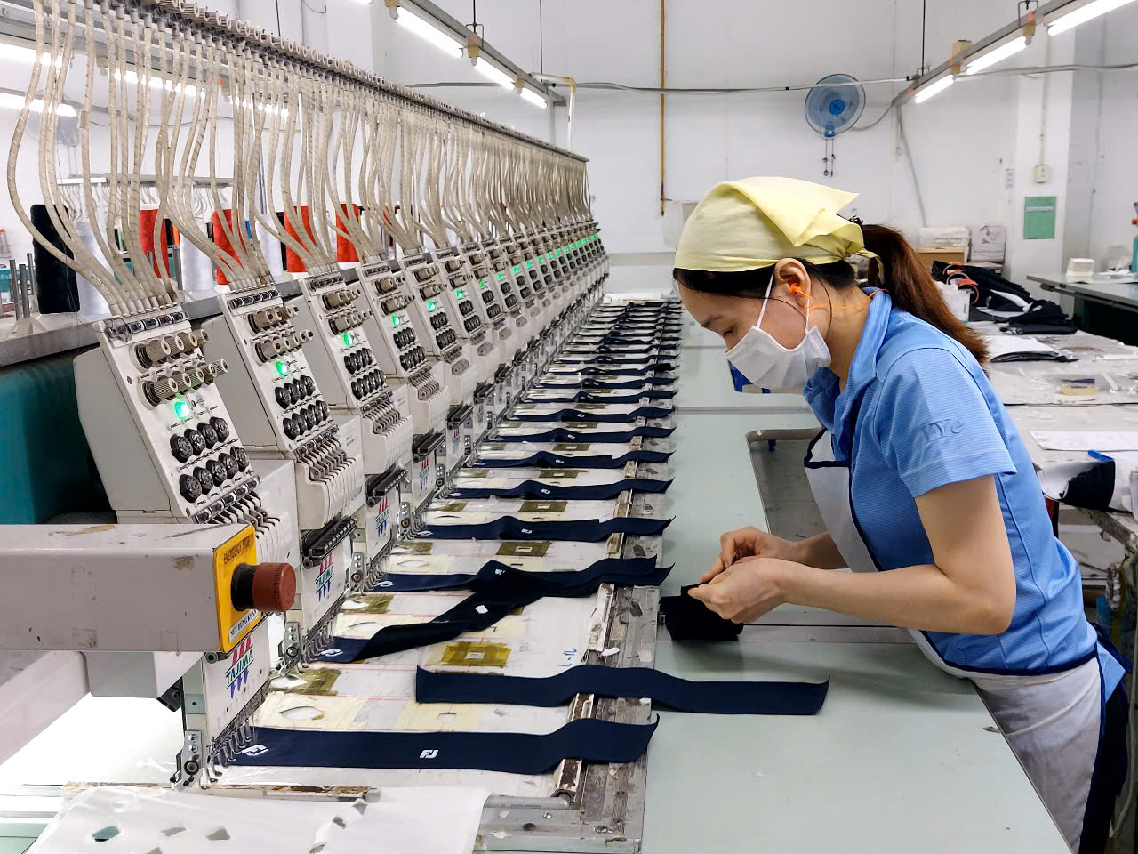 - Ảnh 2. - Ảnh 2.