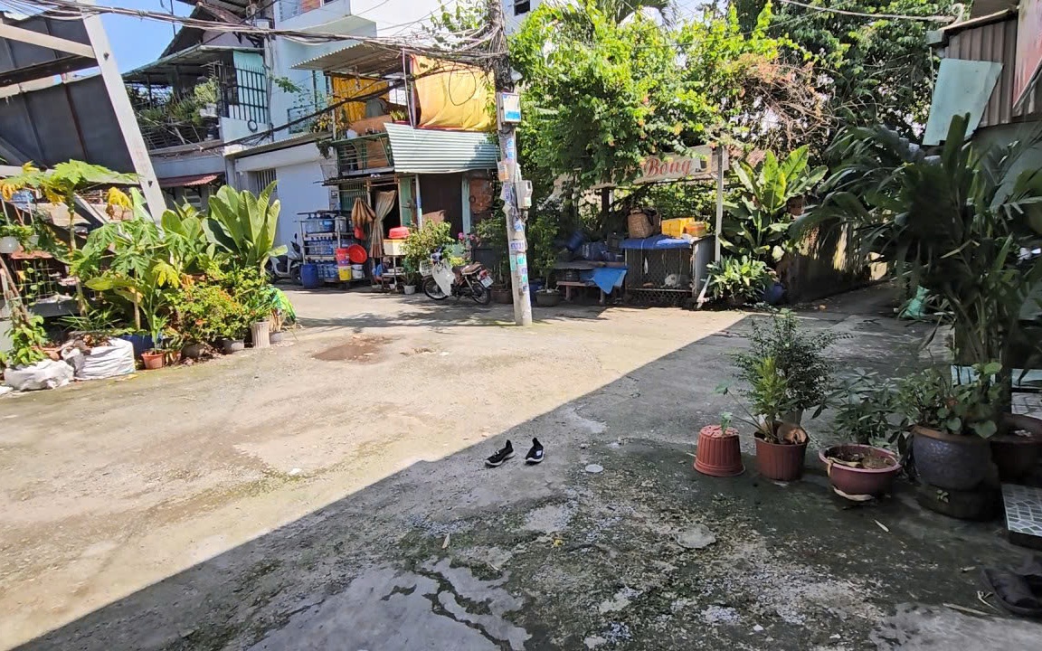 - Ảnh 2. - Ảnh 2.