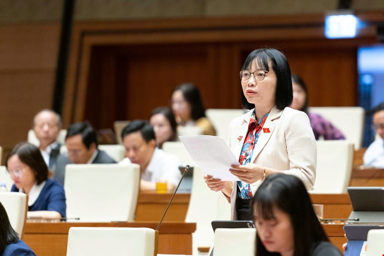 - Ảnh 1. Đại biểu quốc hội đề cập vụ xây nhầm nhà - Ảnh 1.