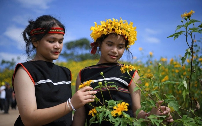 Sau bão số 13, Gia Lai tiếp tục chủ động đối phó mưa lũ nguy hiểm - Ảnh 2. Sau bão số 13, Gia Lai tiếp tục chủ động đối phó mưa lũ nguy hiểm - Ảnh 2.