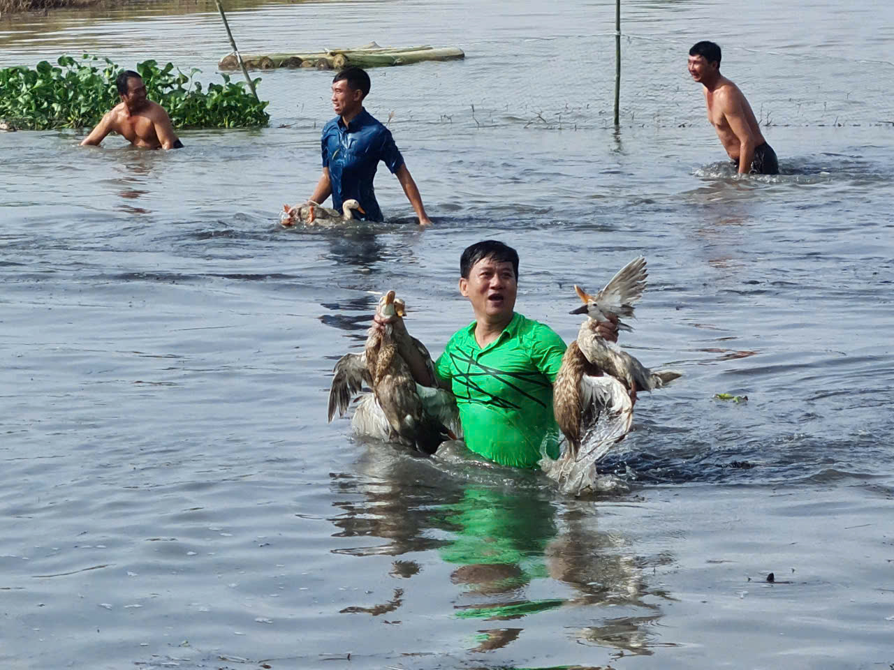 CLIP: Rộn ràng trò chơi thi bắt vịt mùa nước nổi ở An Giang - Ảnh 7.